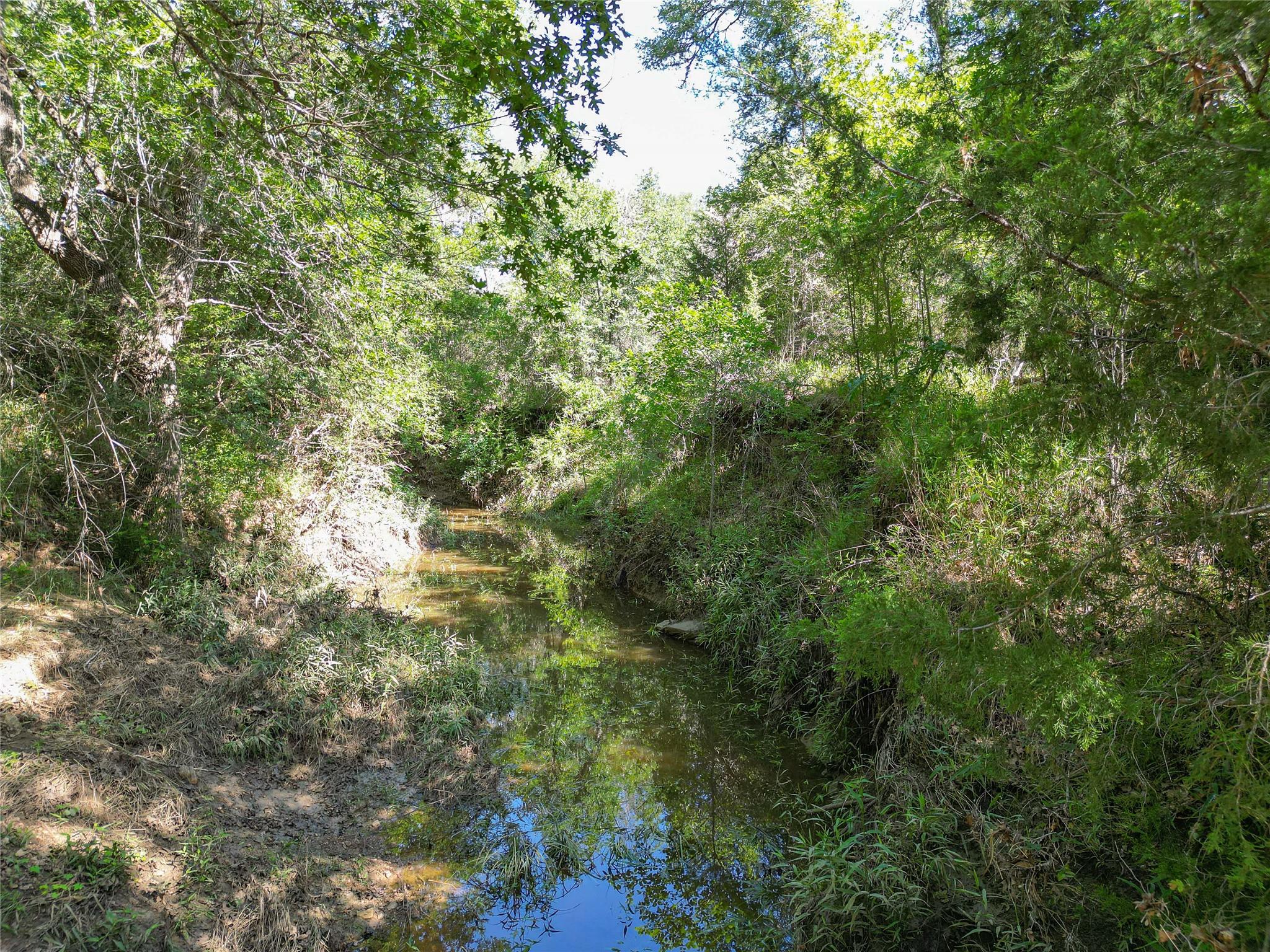 995 Carter Rd, Dale, TX 78616