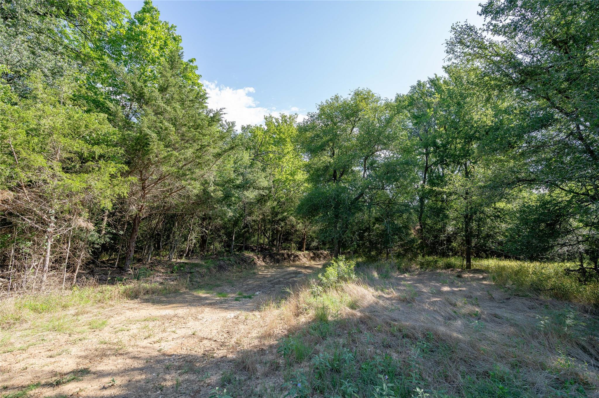 995 Carter Rd, Dale, TX 78616