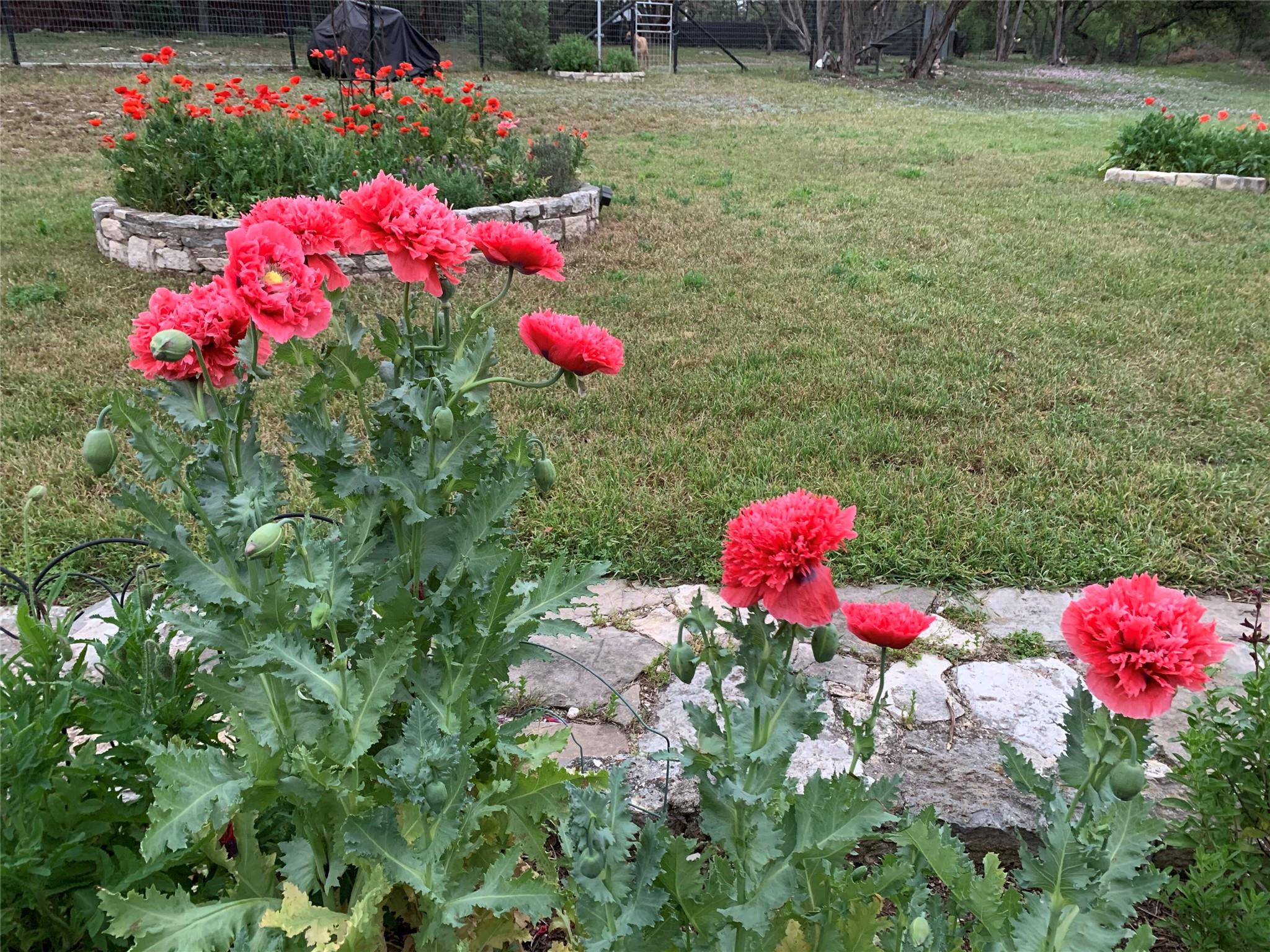 1005 Westland Ridge Rd, Dripping Springs, TX 78620