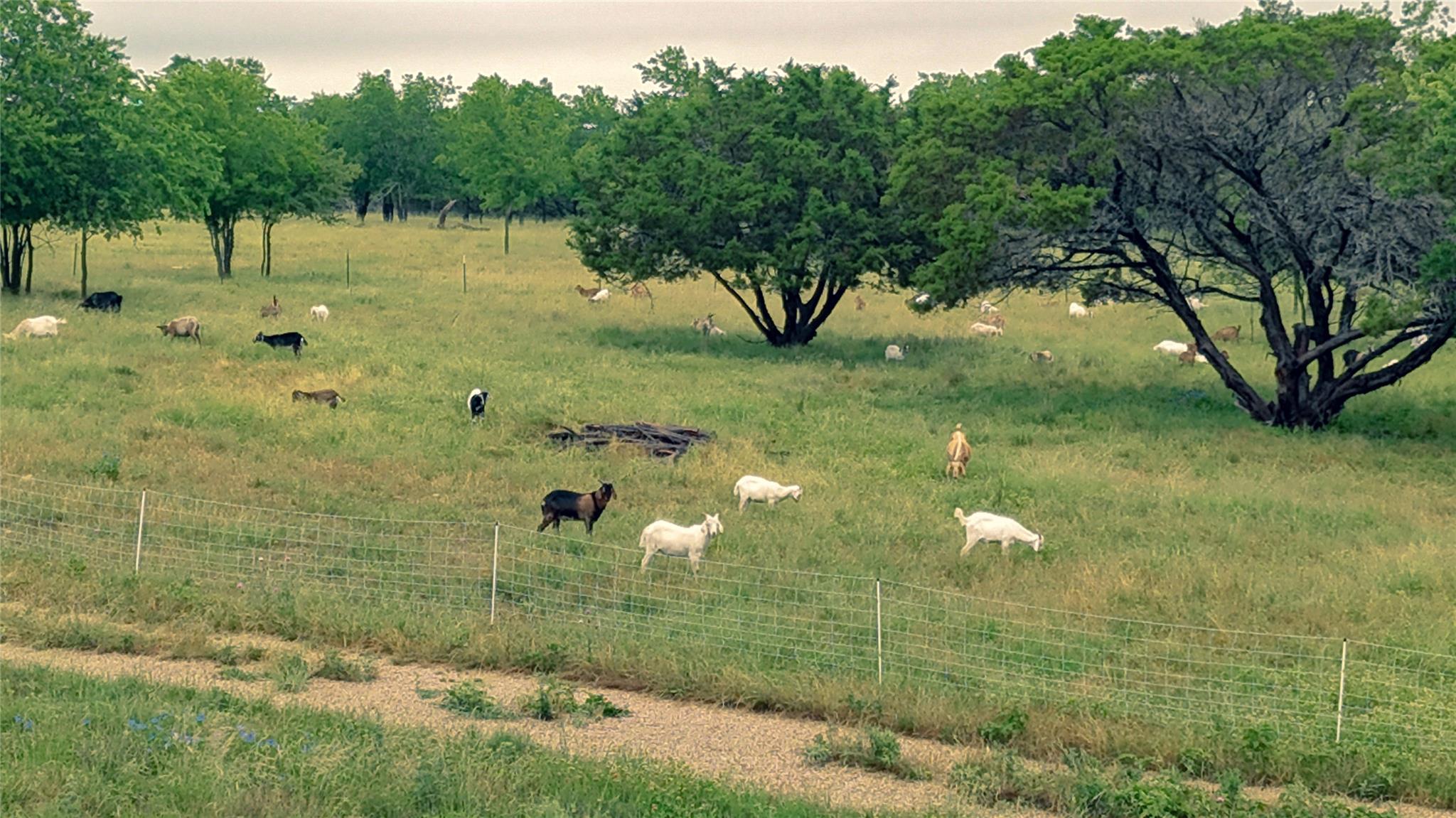 15920 Fm 107, Moody, TX 76557