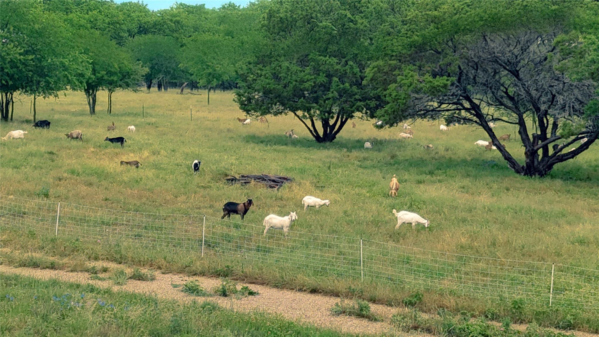 15920 Fm 107, Moody, TX 76557