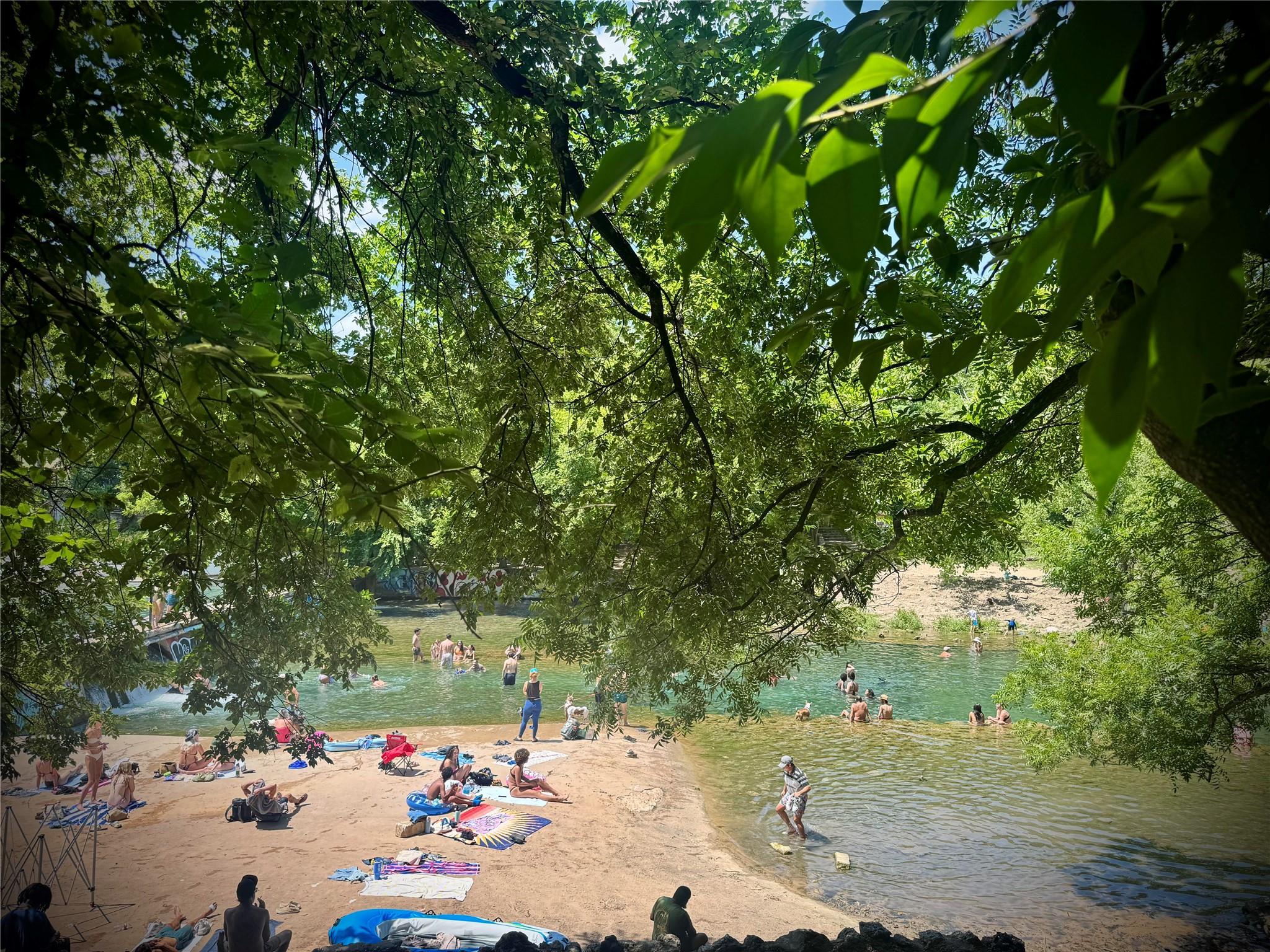 1135 Barton Hills Dr # 206, Austin, TX 78704