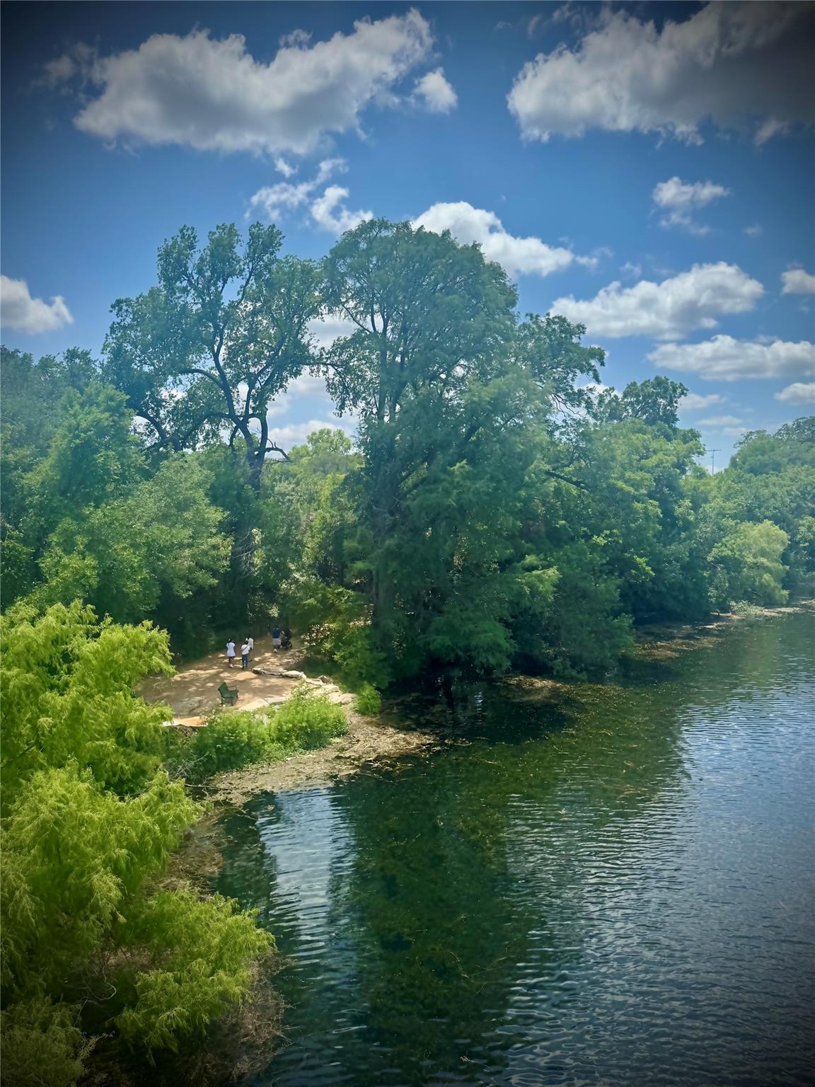 1135 Barton Hills Dr # 206, Austin, TX 78704