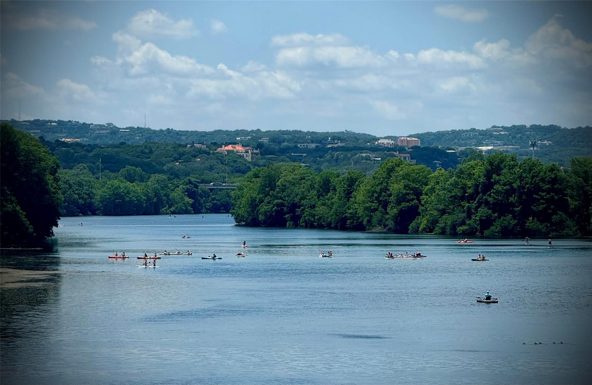 1135 Barton Hills Dr # 206, Austin, TX 78704