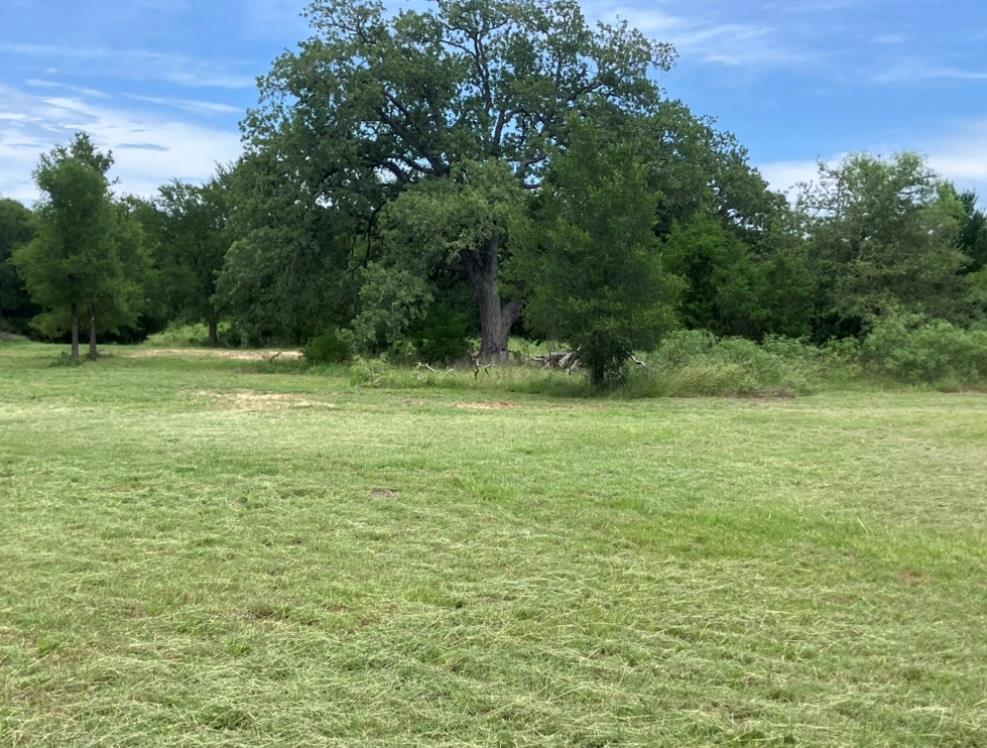 317 Pleasant Grove Loop, Elgin, TX 78621