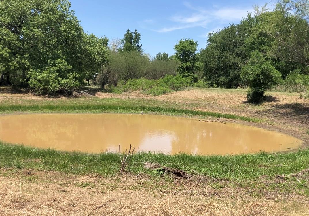 317 Pleasant Grove Loop, Elgin, TX 78621