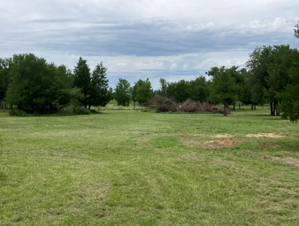 317 Pleasant Grove Loop, Elgin, TX 78621