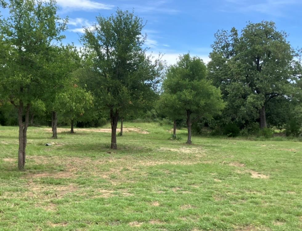 317 Pleasant Grove Loop, Elgin, TX 78621