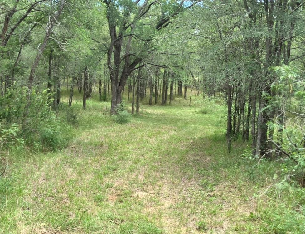 317 Pleasant Grove Loop, Elgin, TX 78621