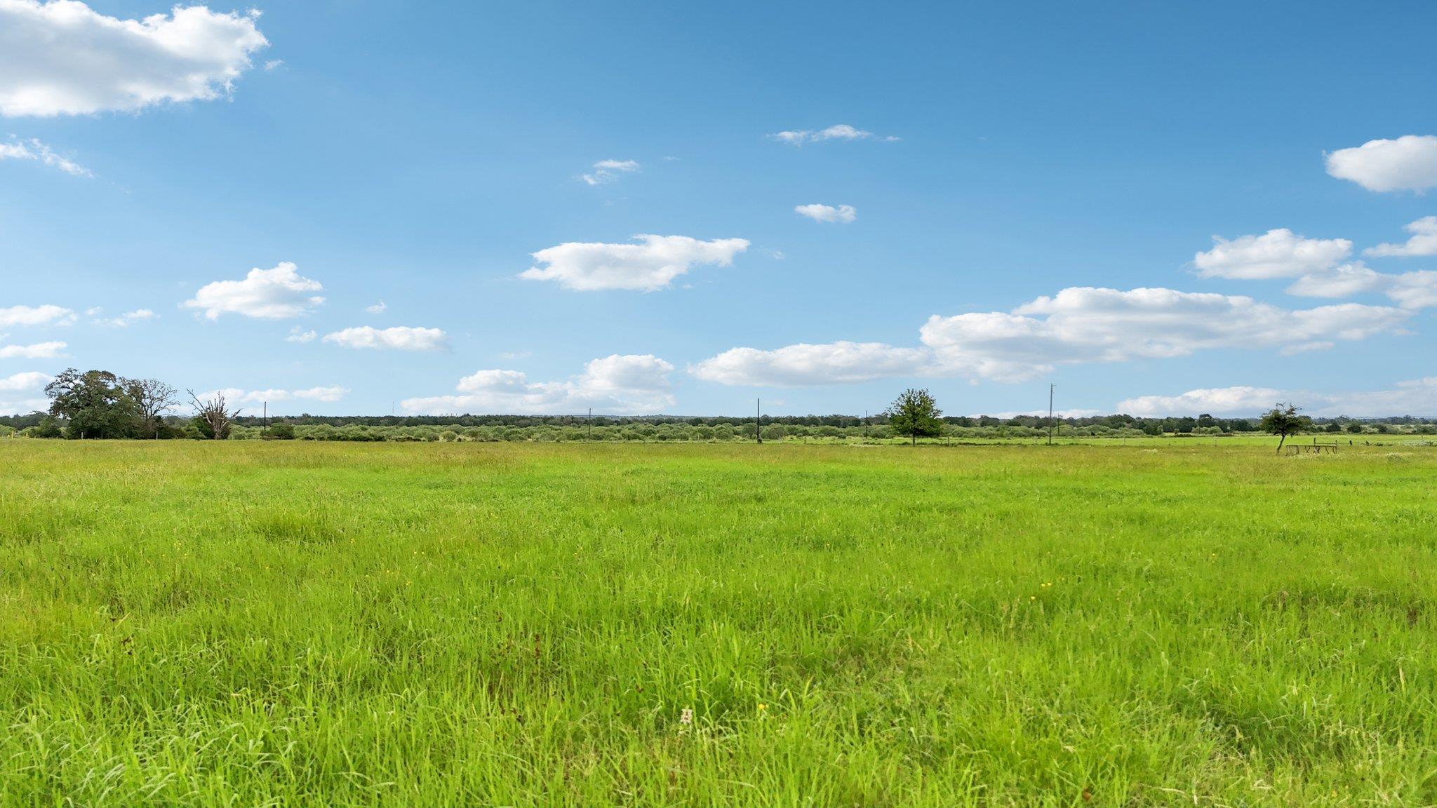 170 Zack Ln, Giddings, TX 78942