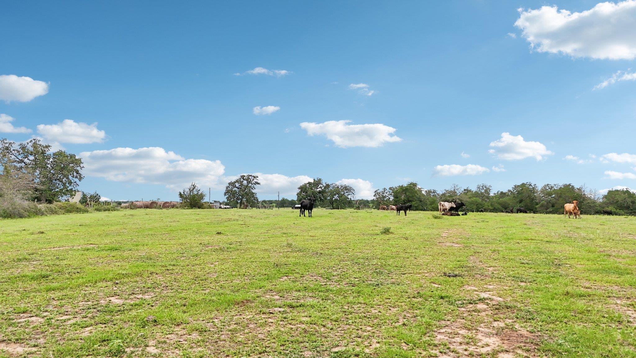 170 Zack Ln, Giddings, TX 78942