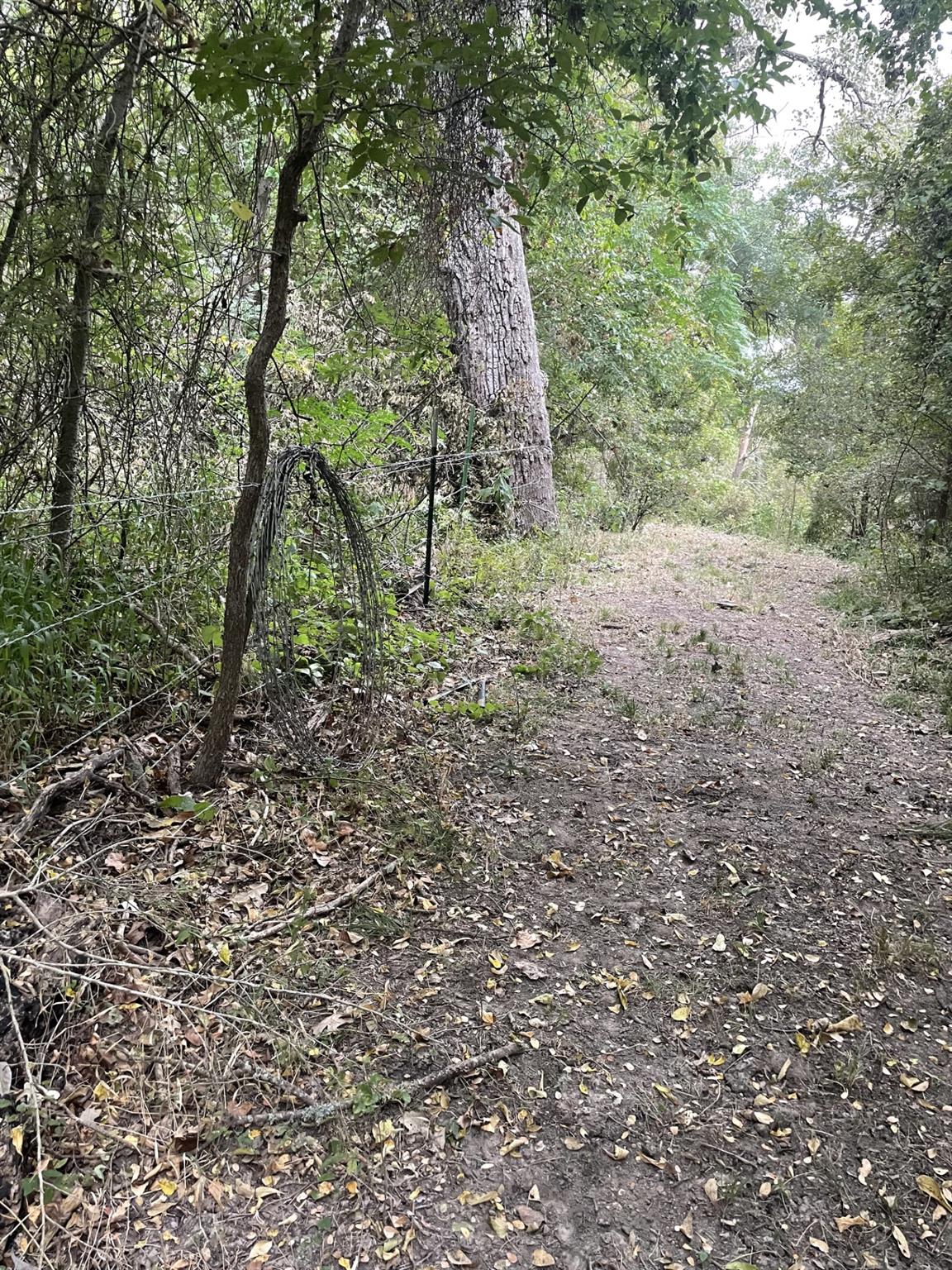 TBD Donahoe Rd, Bartlett, TX 76511