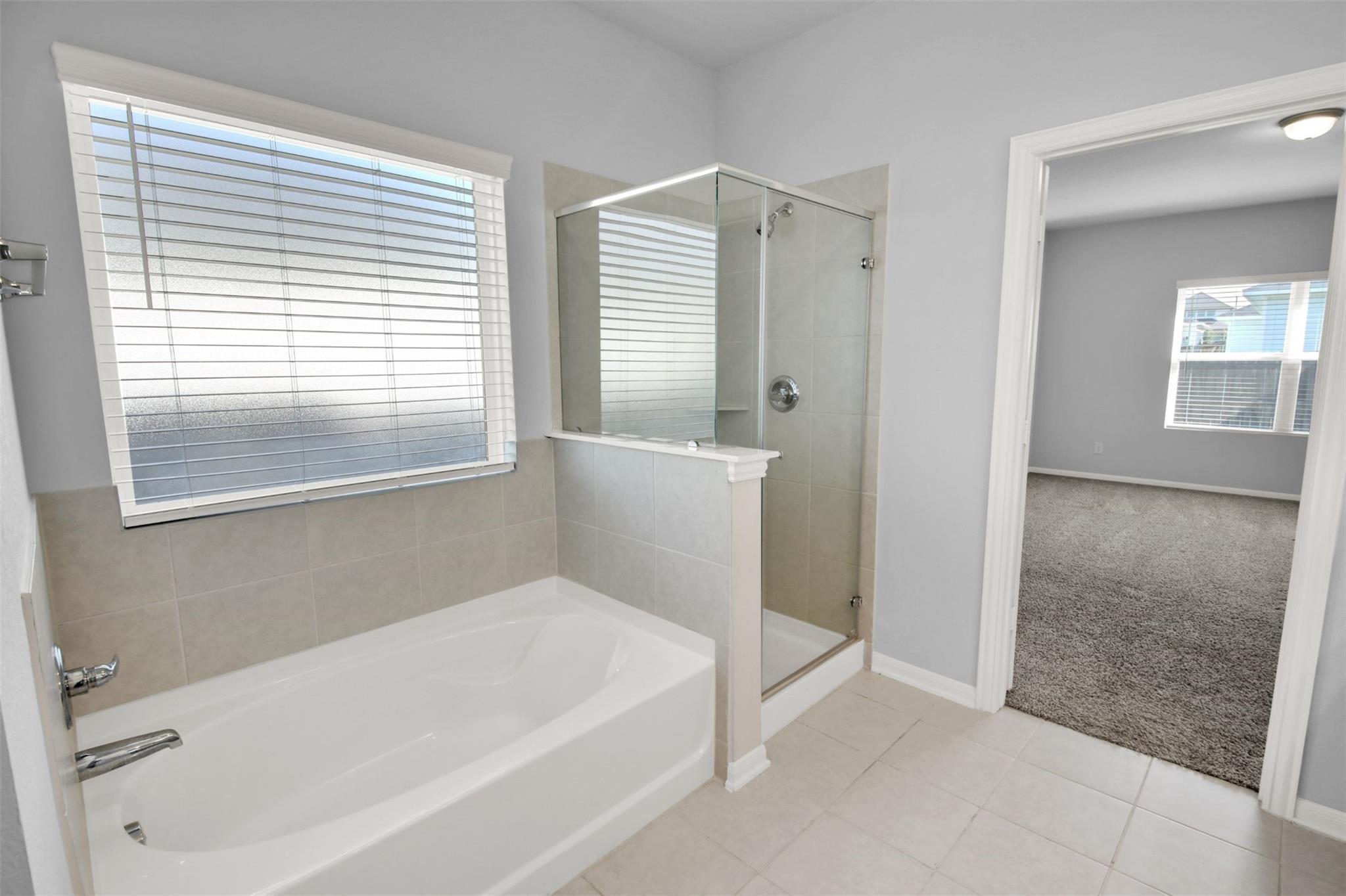 113 Greenthread Dr, Liberty Hill, TX 78642