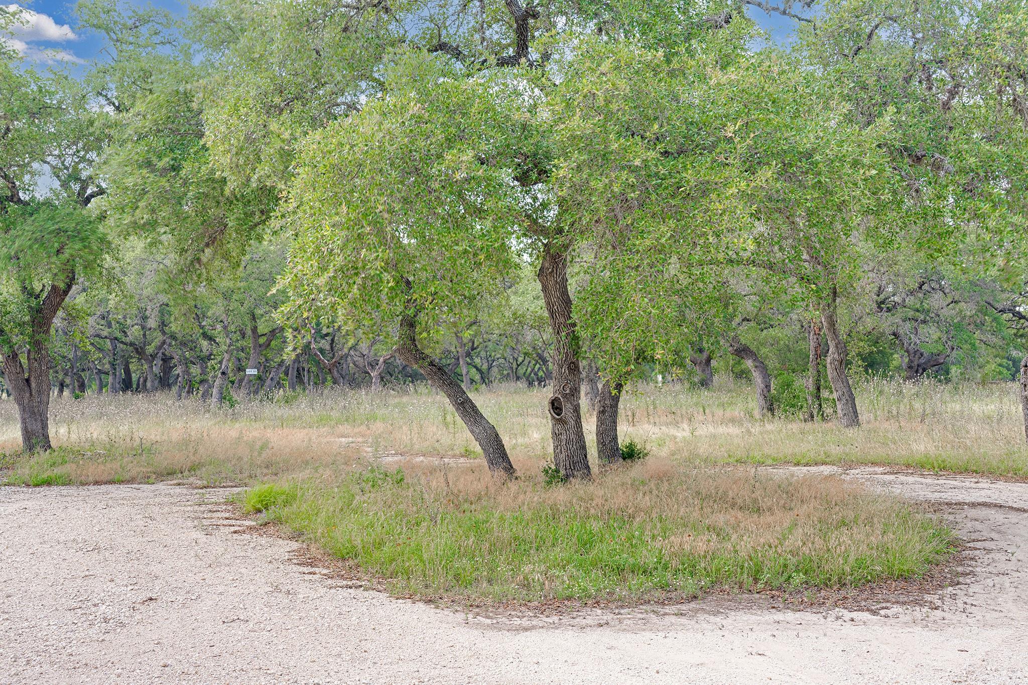 1942 Paradise Pkwy, Canyon Lake, TX 78133