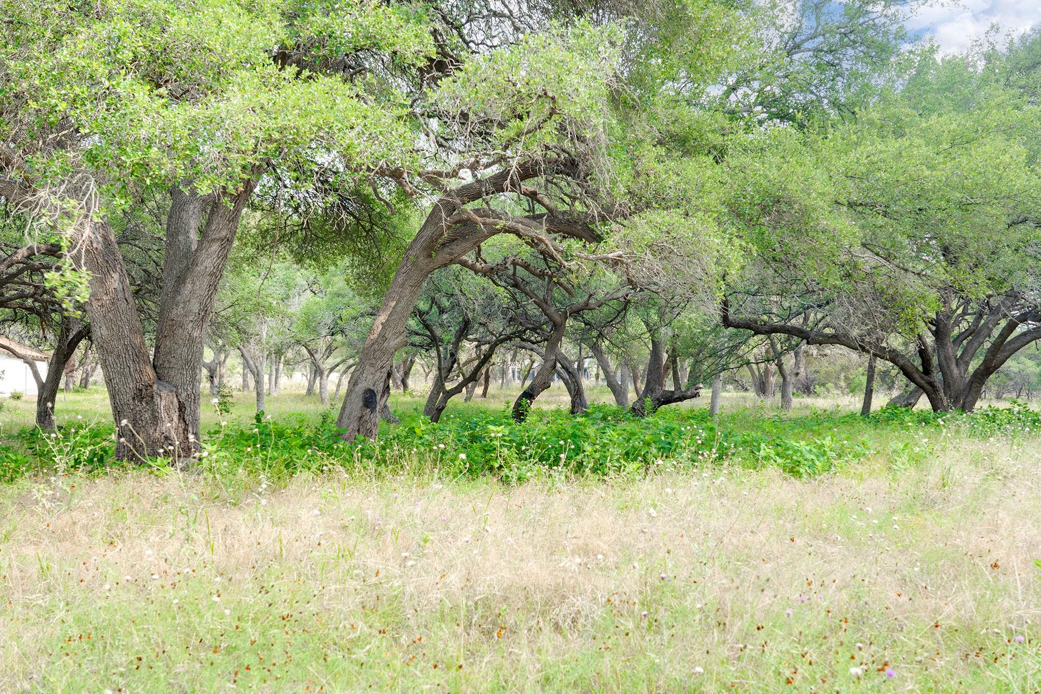 1942 Paradise Pkwy, Canyon Lake, TX 78133