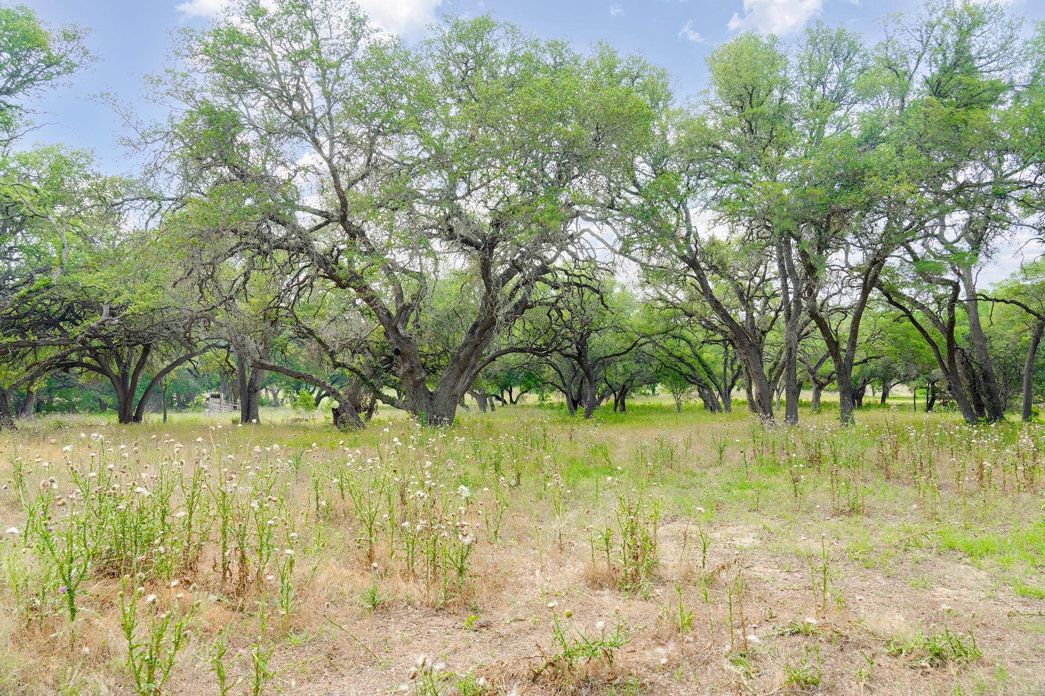 1942 Paradise Pkwy, Canyon Lake, TX 78133