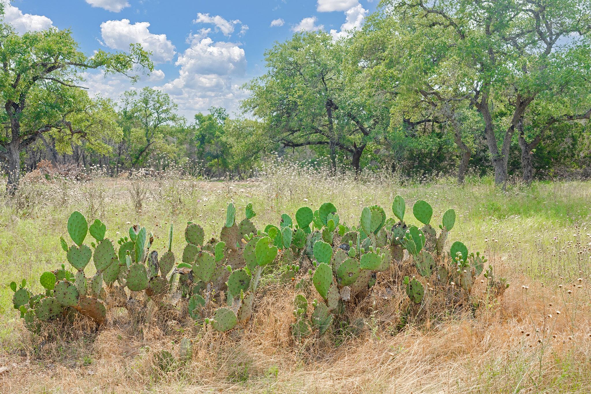 1942 Paradise Pkwy, Canyon Lake, TX 78133