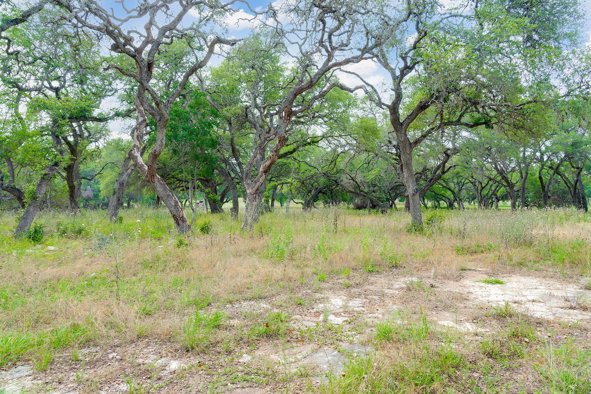 1942 Paradise Pkwy, Canyon Lake, TX 78133