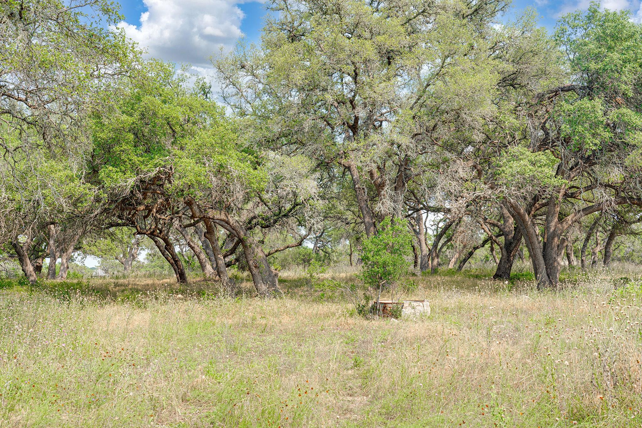 1942 Paradise Pkwy, Canyon Lake, TX 78133