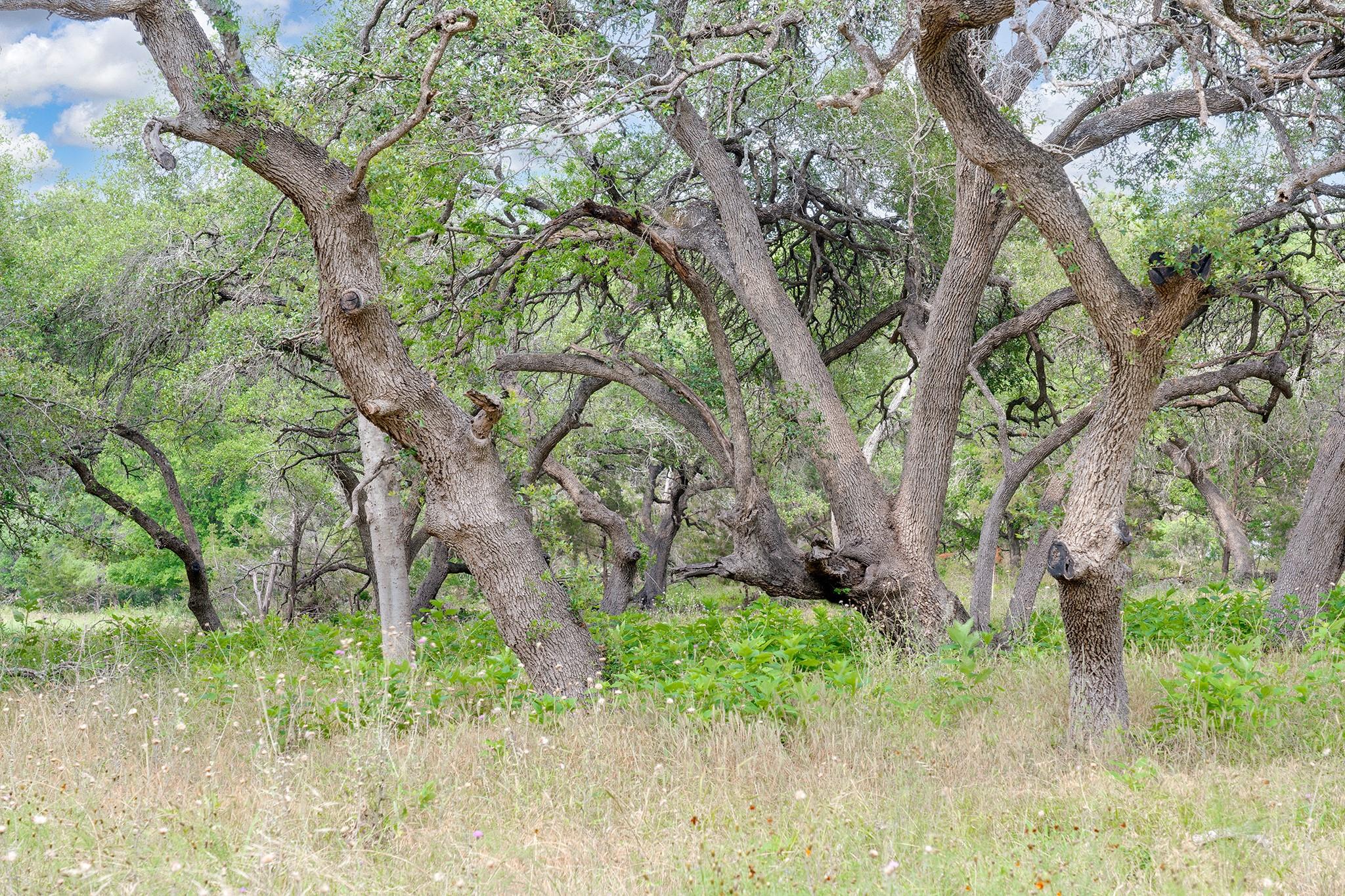 1942 Paradise Pkwy, Canyon Lake, TX 78133