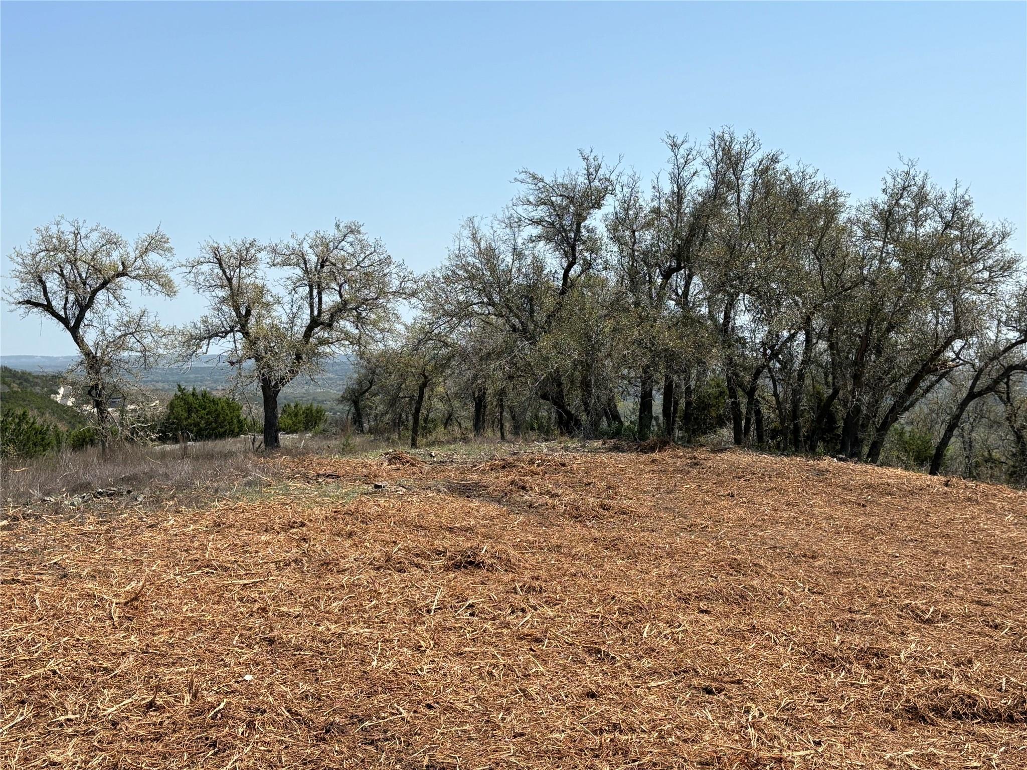 Lot 108 and 109 Oryx Cv, Blanco, TX 78606