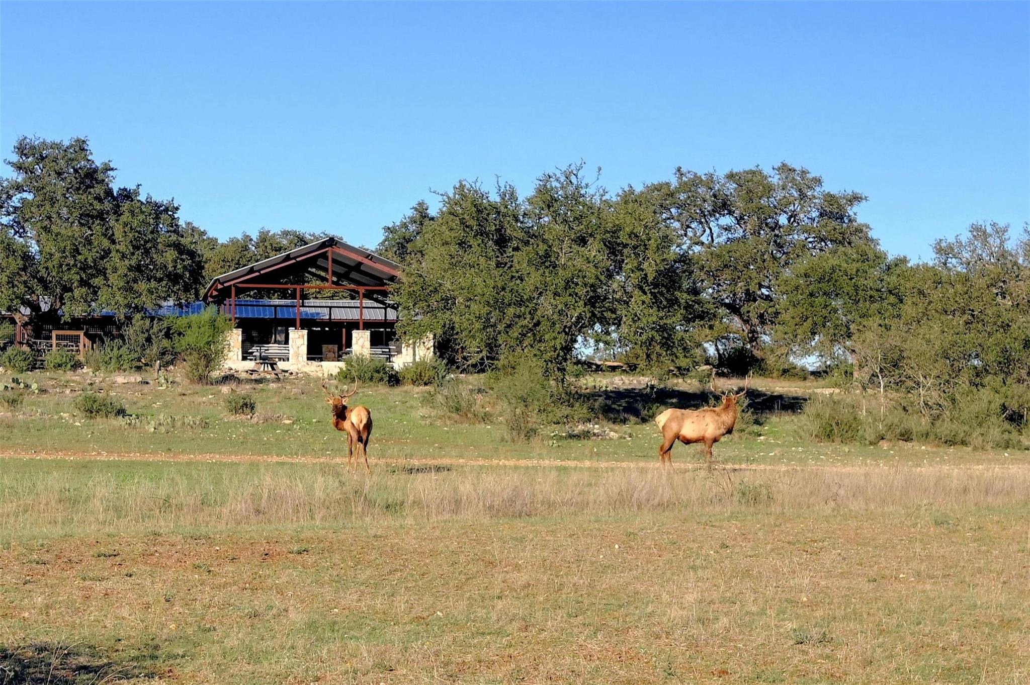 Lot 108 and 109 Oryx Cv, Blanco, TX 78606