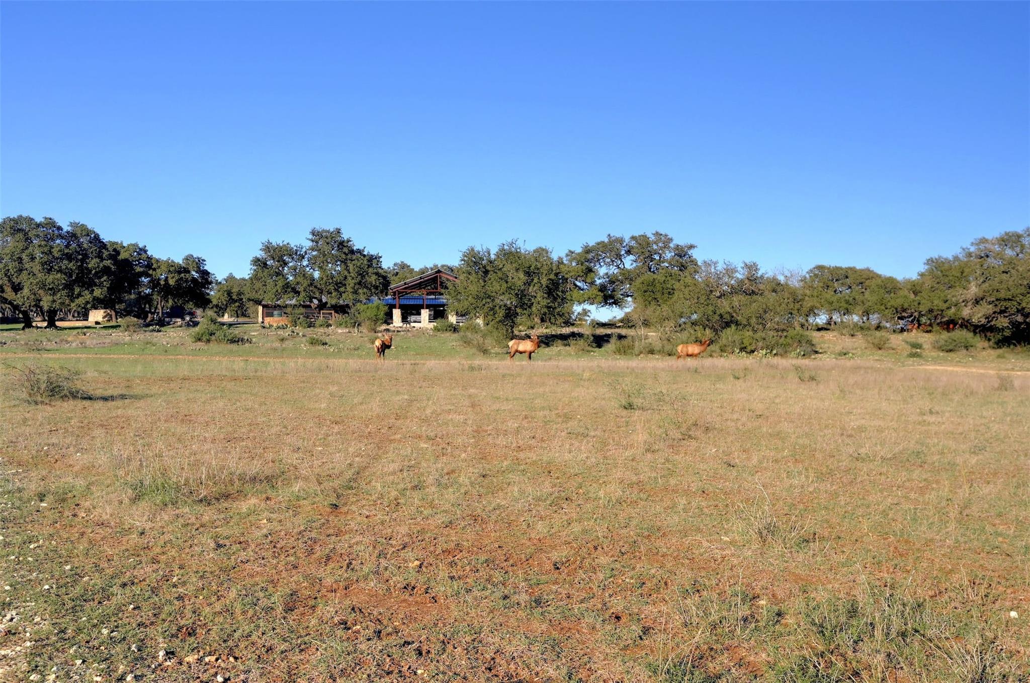 Lot 108 and 109 Oryx Cv, Blanco, TX 78606