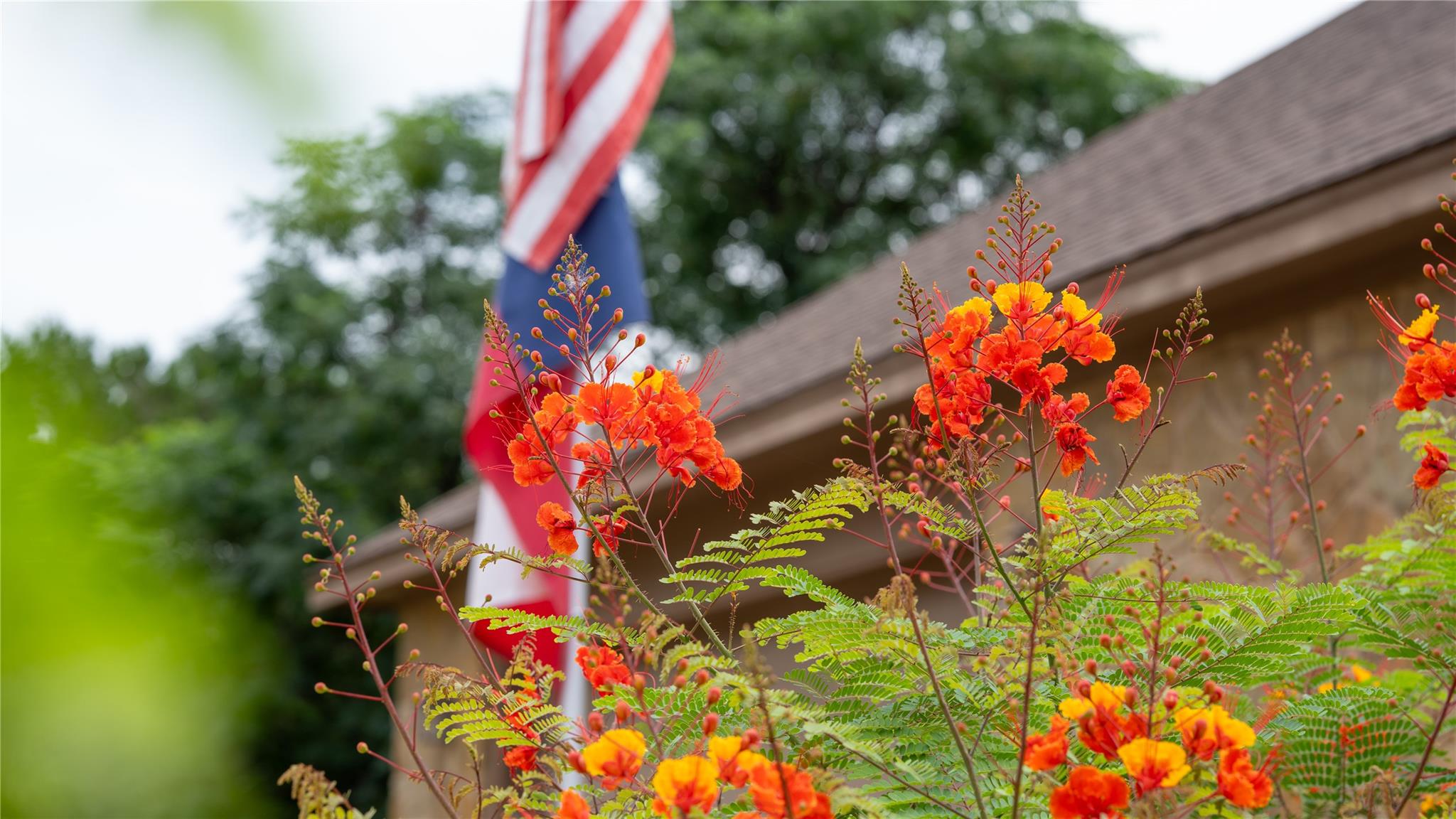 3311 Boone Dr, Lago Vista, TX 78645