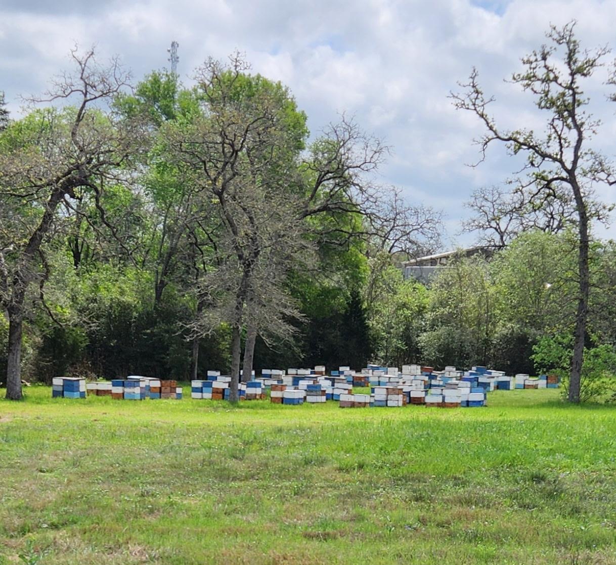 1122 County Road 344 Rd, Lexington, TX 78947