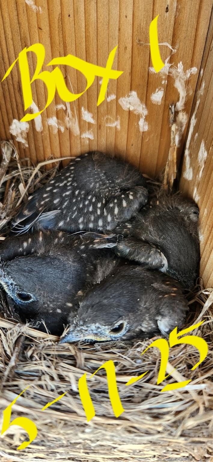 1122 County Road 344 Rd, Lexington, TX 78947