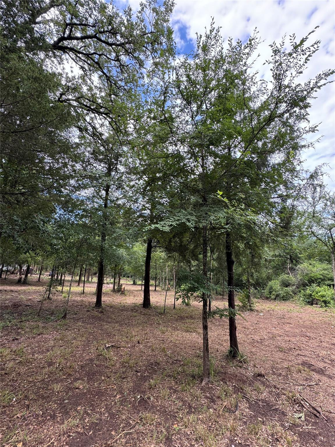 891 Cedar Creek Rd, Caldwell, TX 77836