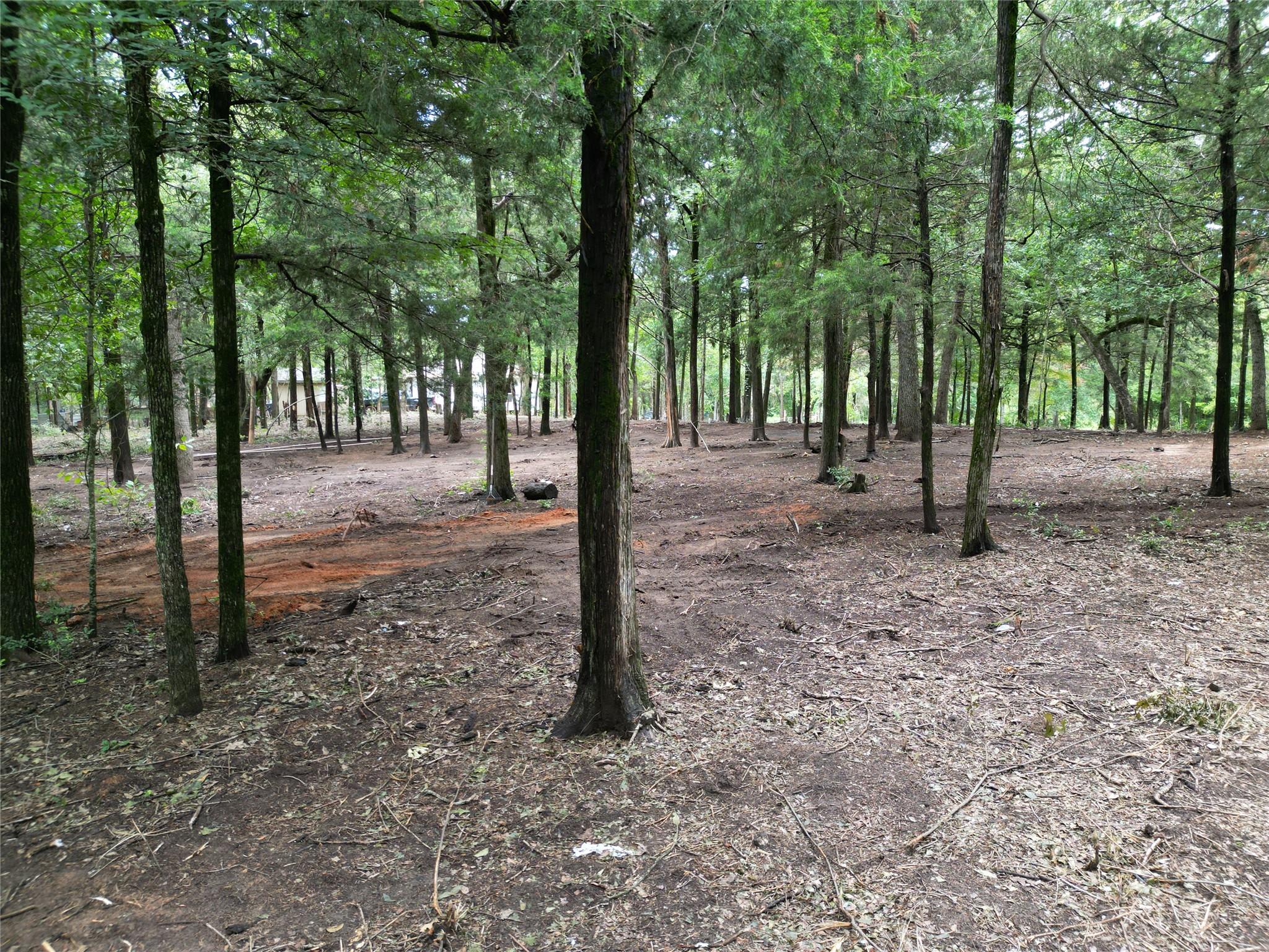 891 Cedar Creek Rd, Caldwell, TX 77836