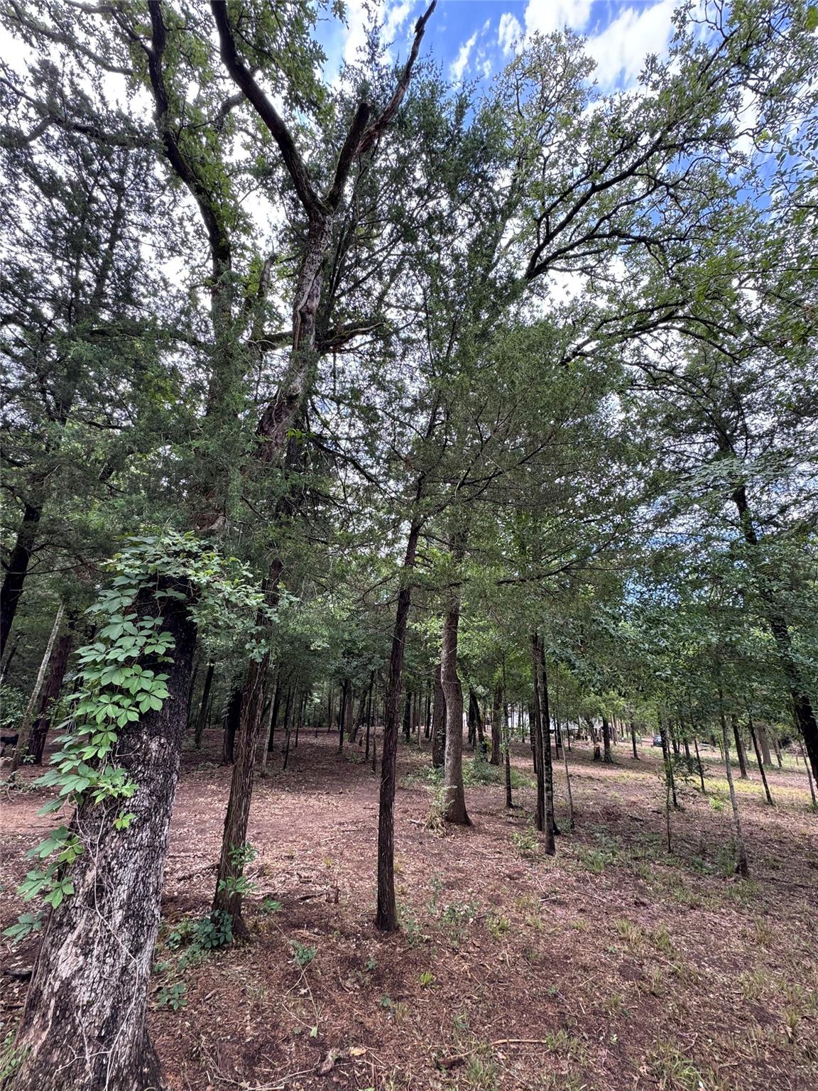 891 Cedar Creek Rd, Caldwell, TX 77836