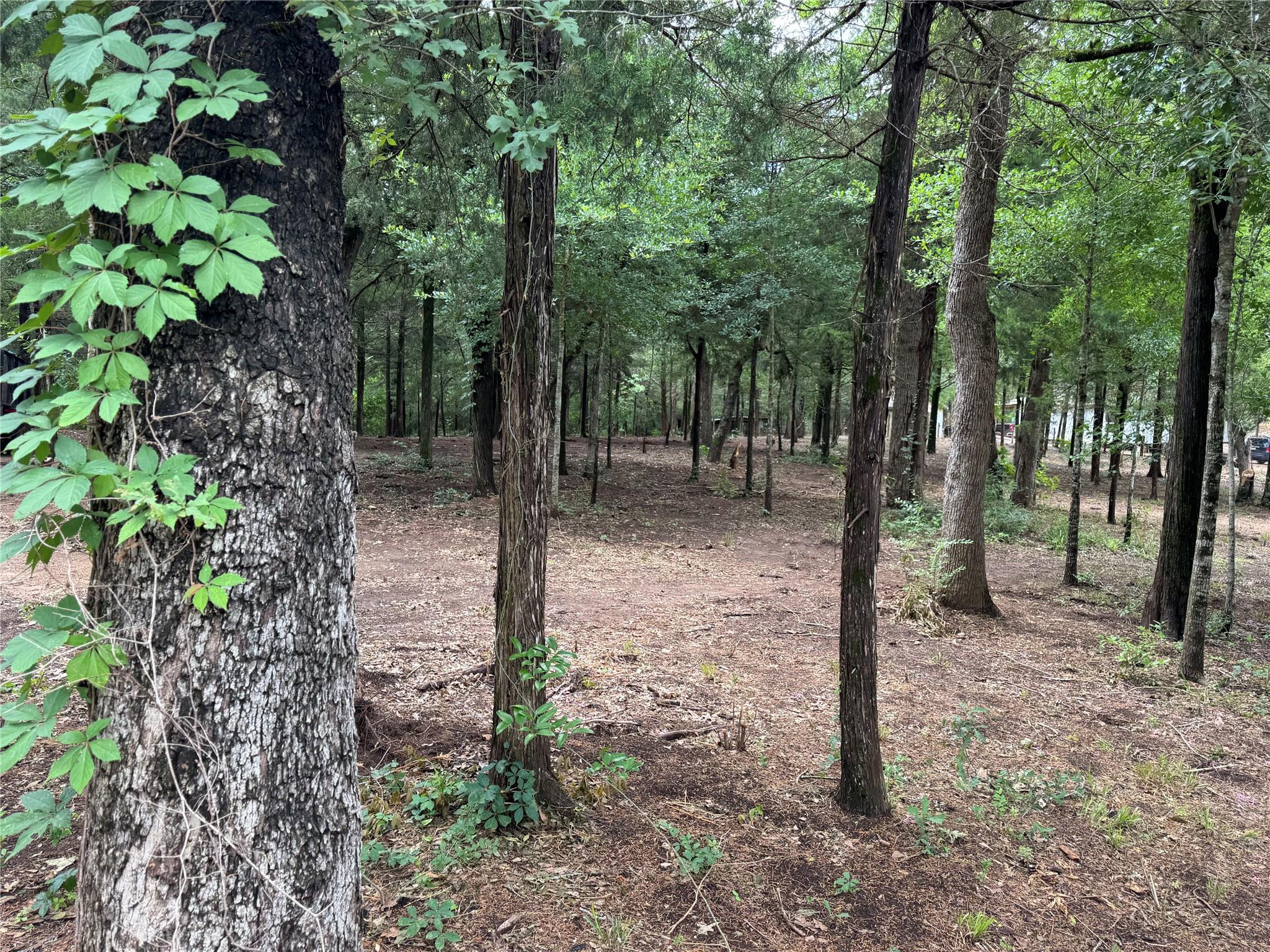 891 Cedar Creek Rd, Caldwell, TX 77836