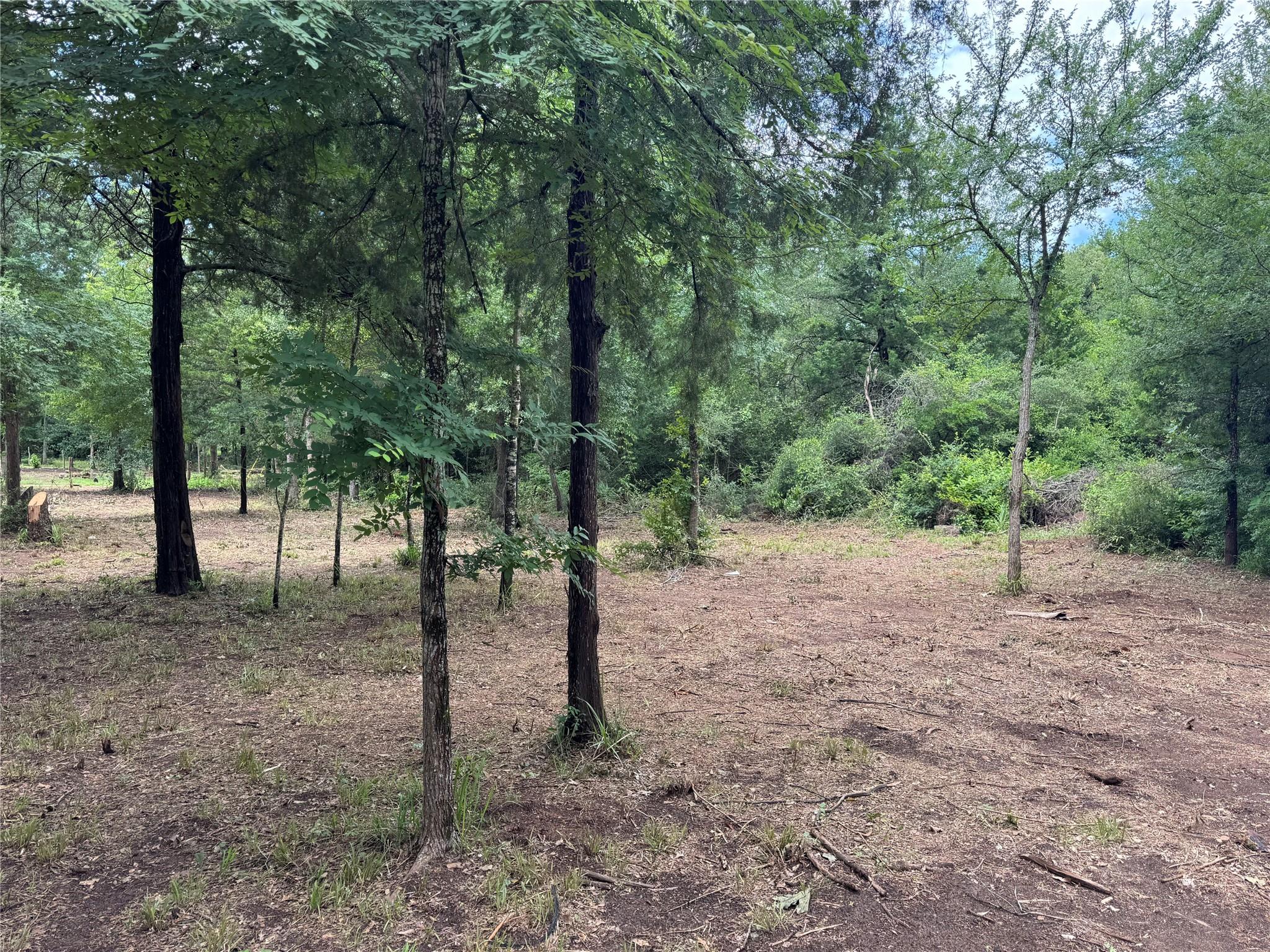 891 Cedar Creek Rd, Caldwell, TX 77836