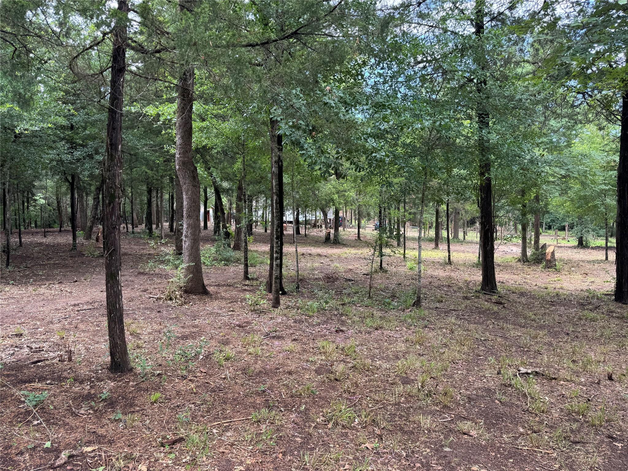 891 Cedar Creek Rd, Caldwell, TX 77836