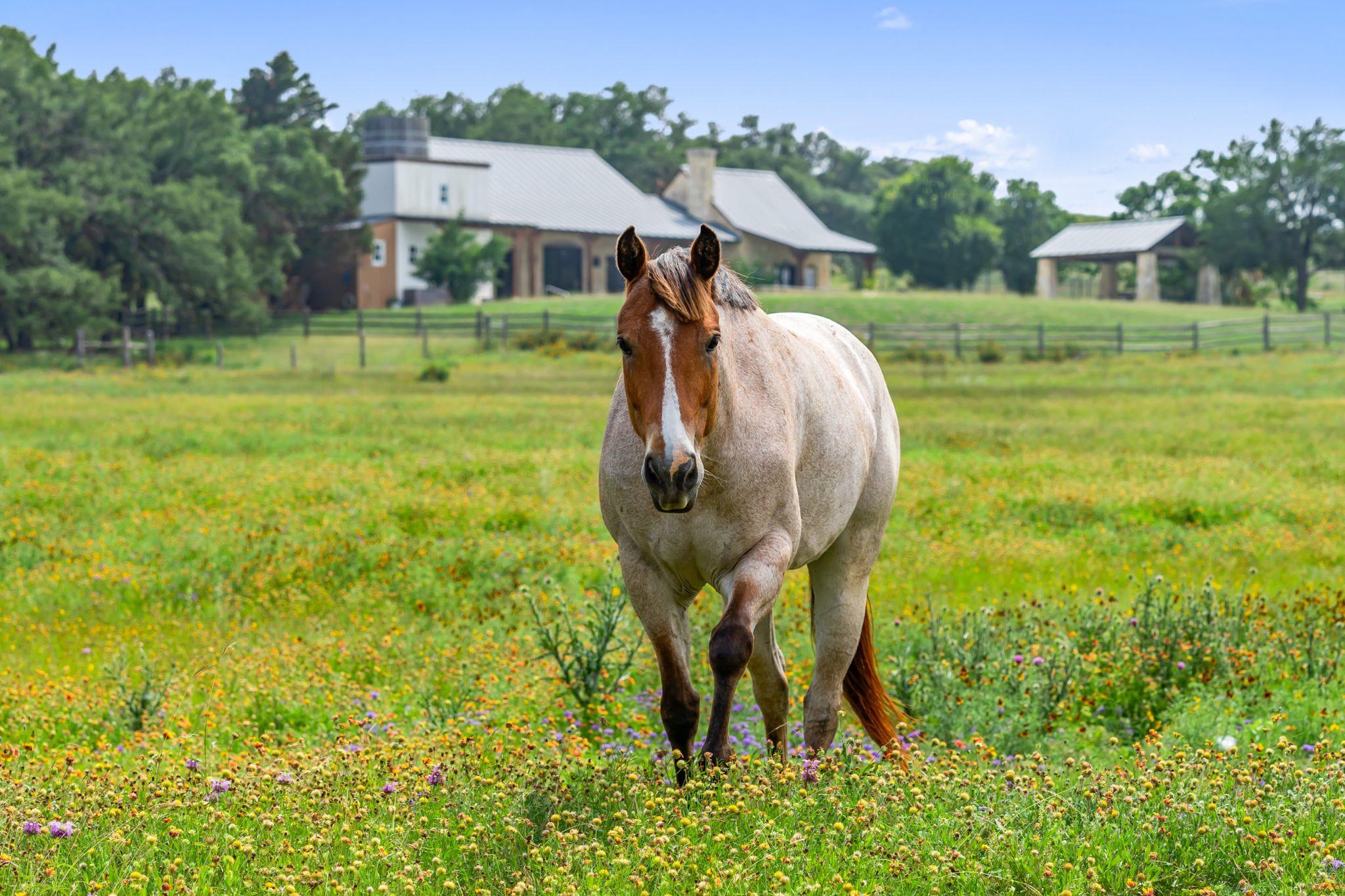 577 Cattle Creek Rd, Johnson City, TX 78636