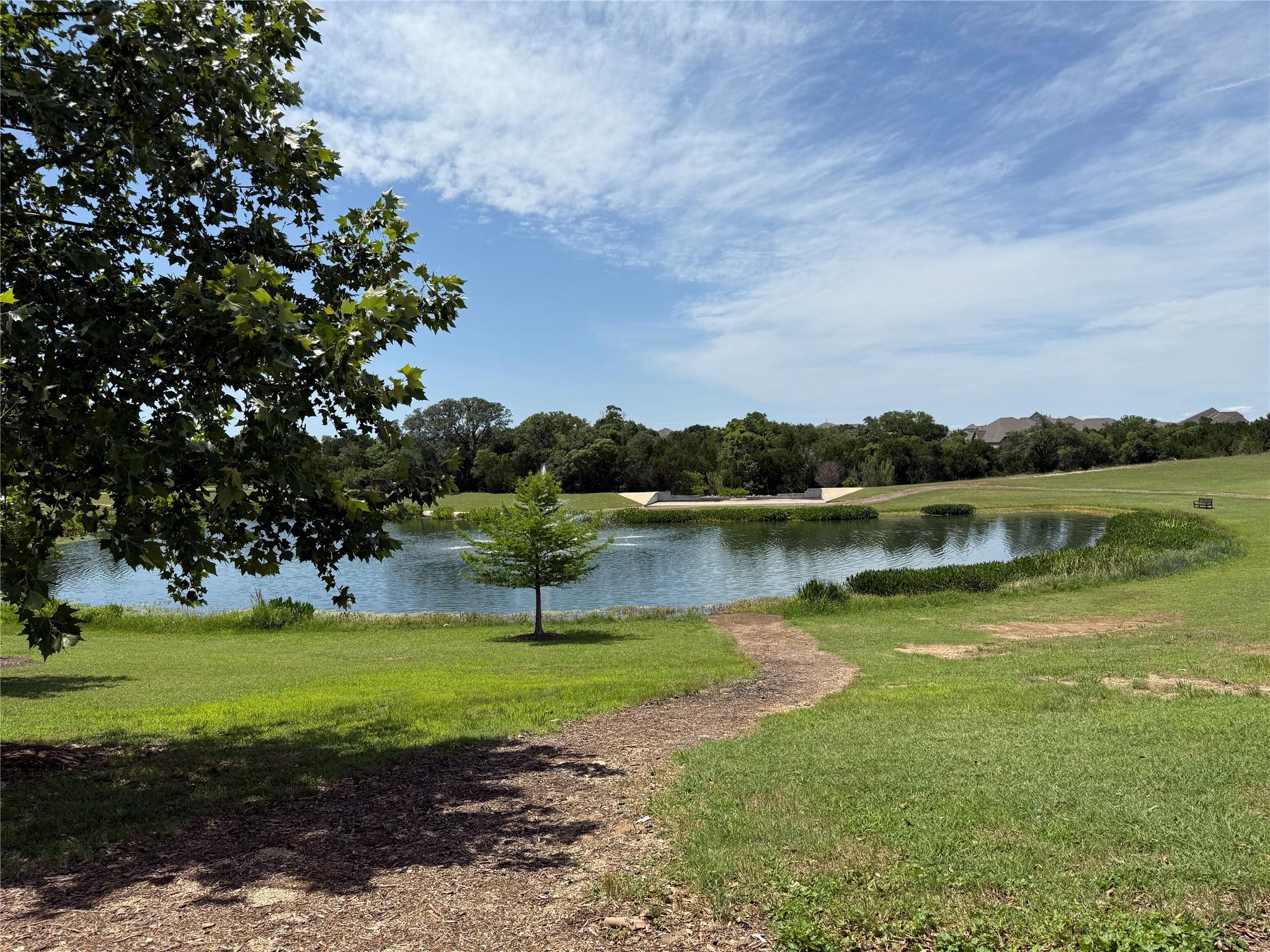 1524 Brueggerhoff Rd, Leander, TX 78641