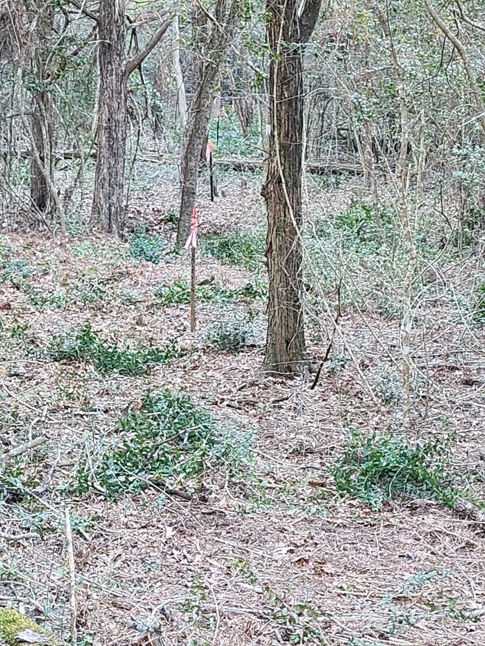 TBD - Lot 1304 Hanauma Dr, Bastrop, TX 78602