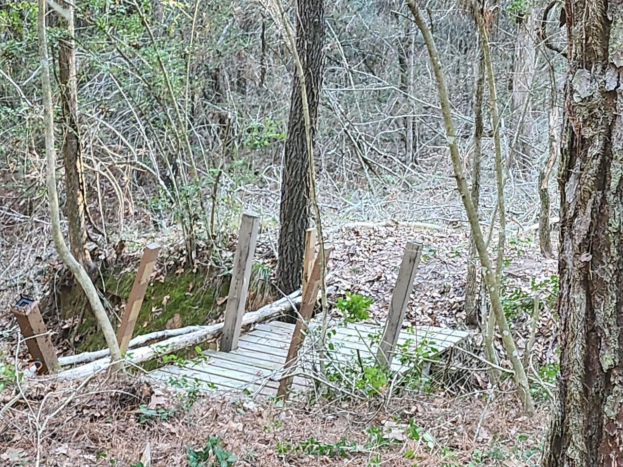 TBD - Lot 1304 Hanauma Dr, Bastrop, TX 78602