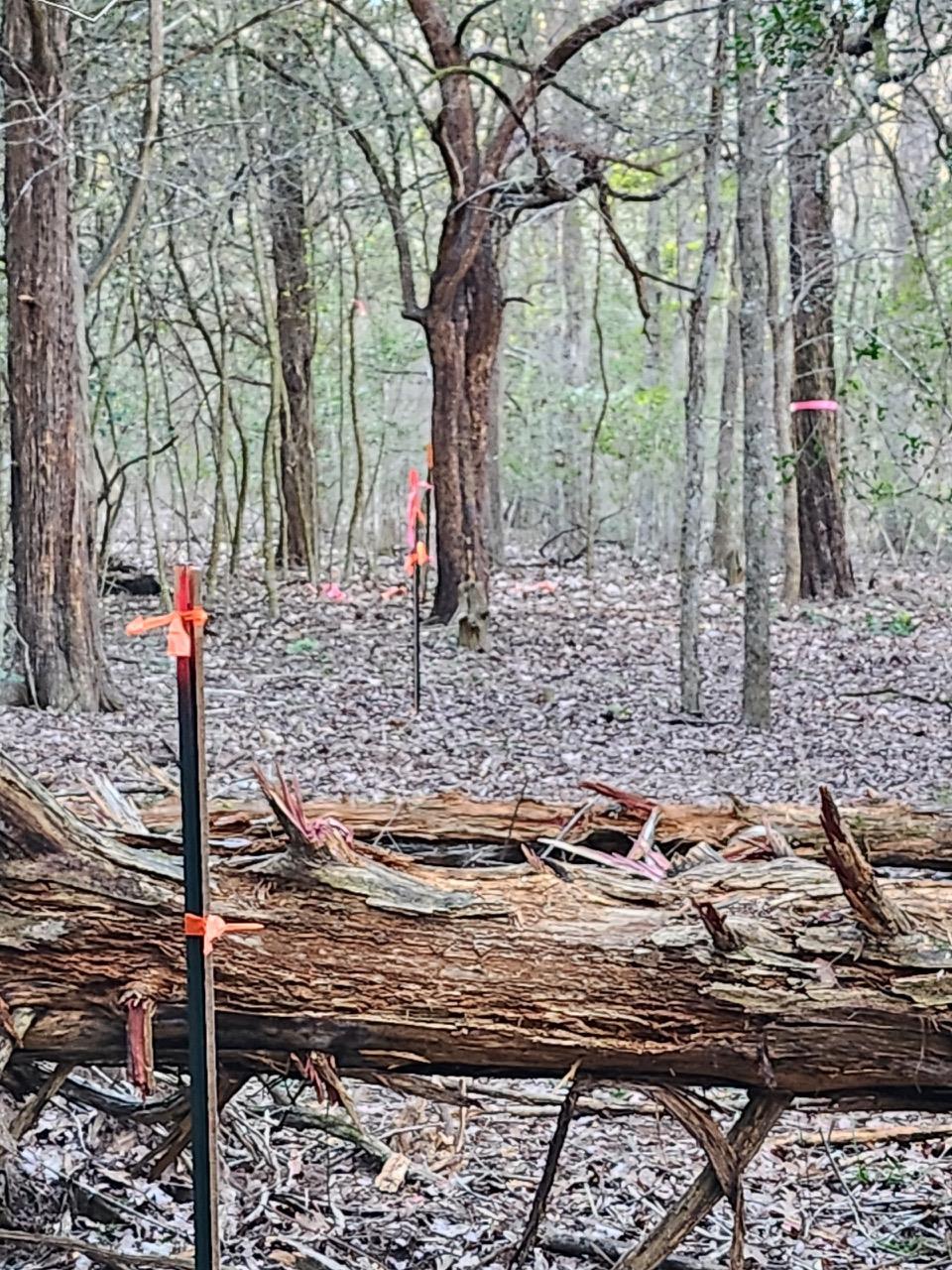 TBD - Lot 1304 Hanauma Dr, Bastrop, TX 78602