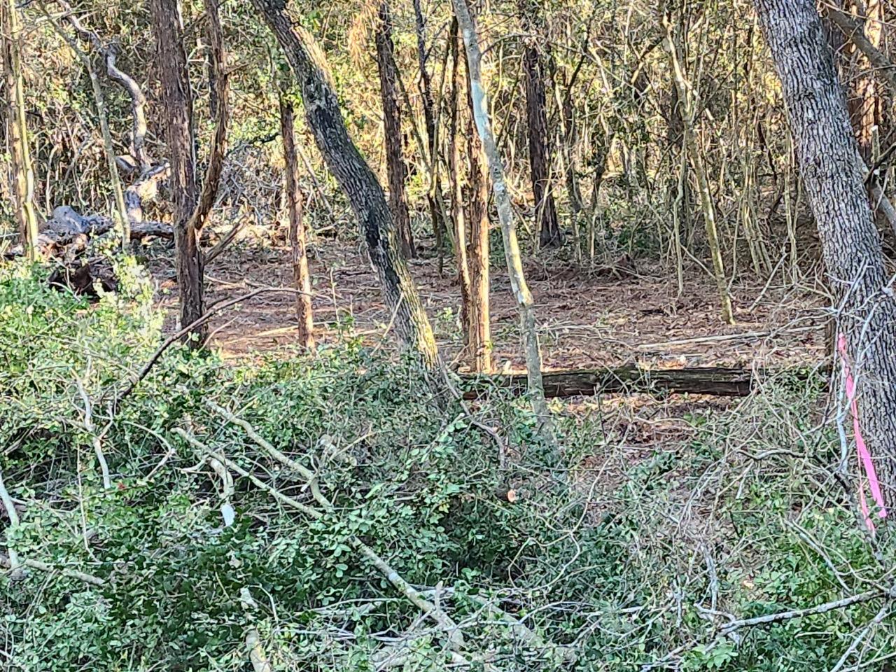 TBD - Lot 1304 Hanauma Dr, Bastrop, TX 78602