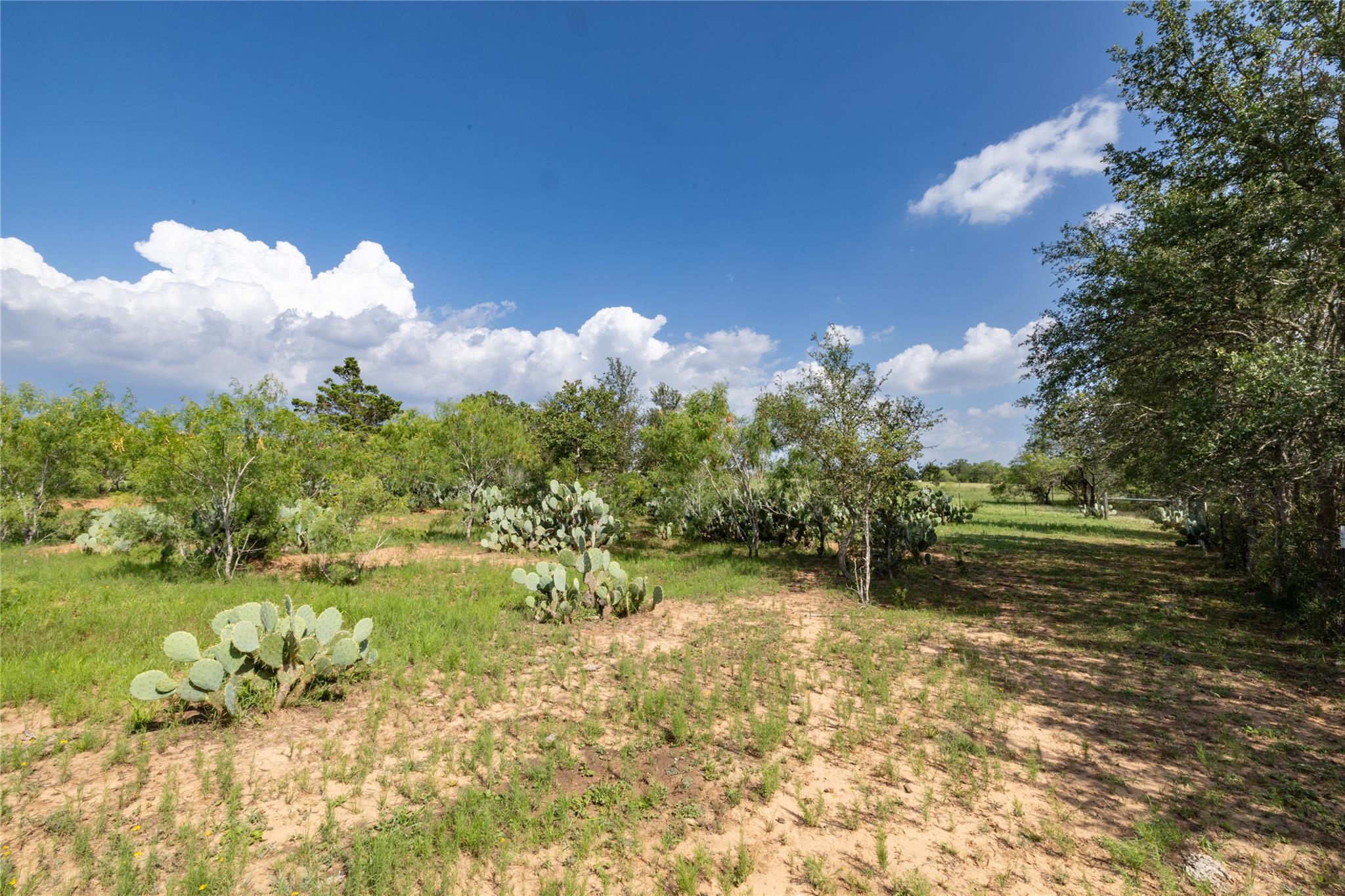 410 Green Acre Dr, Dale, TX 78616