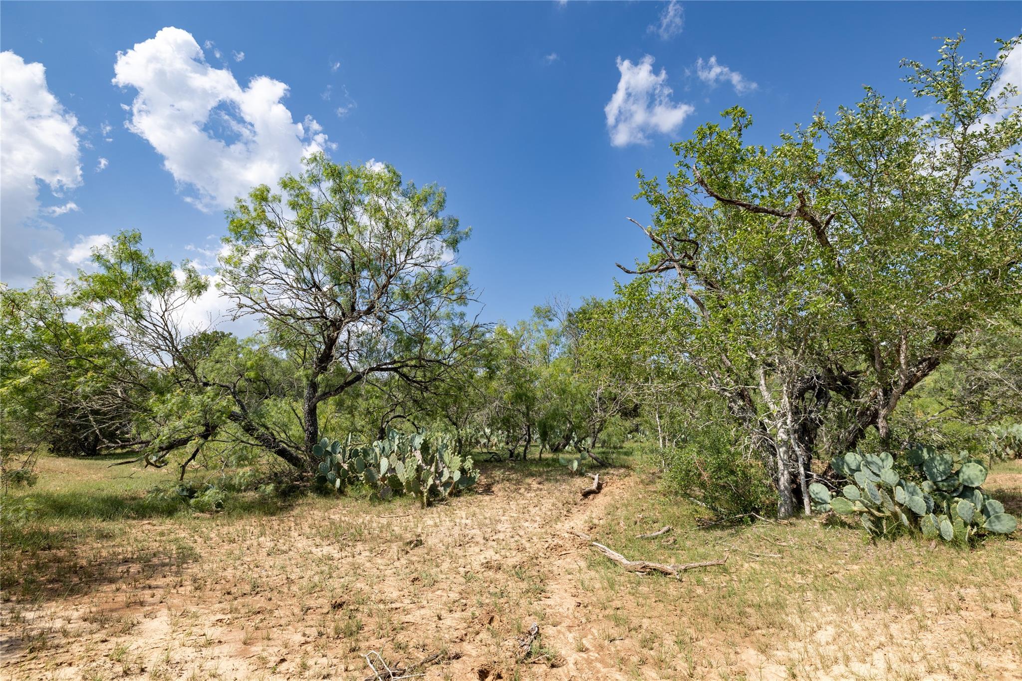410 Green Acre Dr, Dale, TX 78616