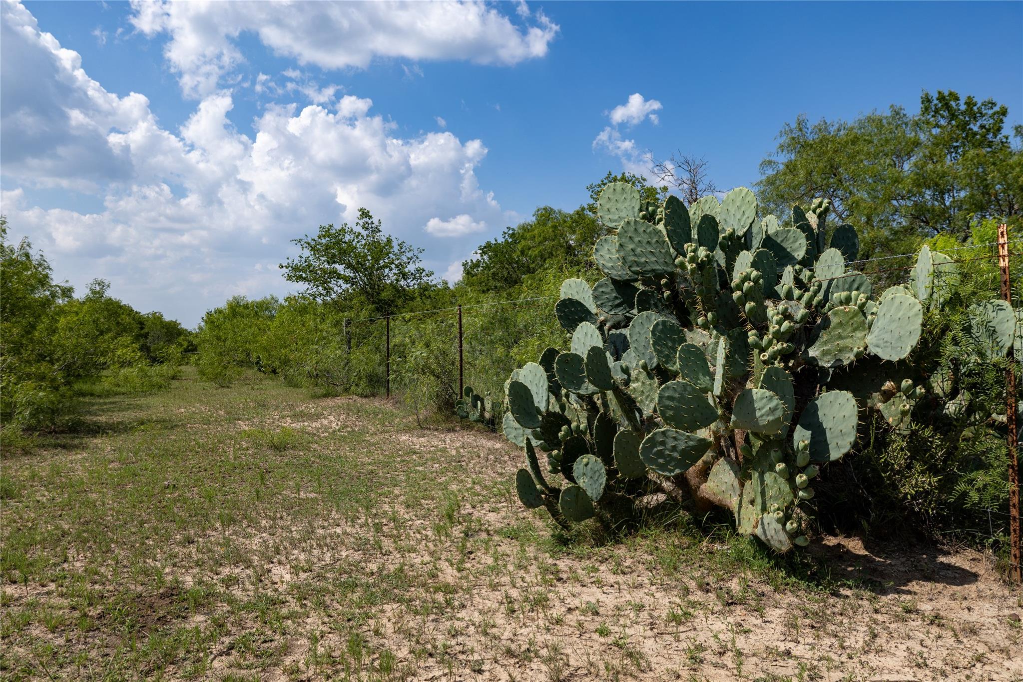 410 Green Acre Dr, Dale, TX 78616