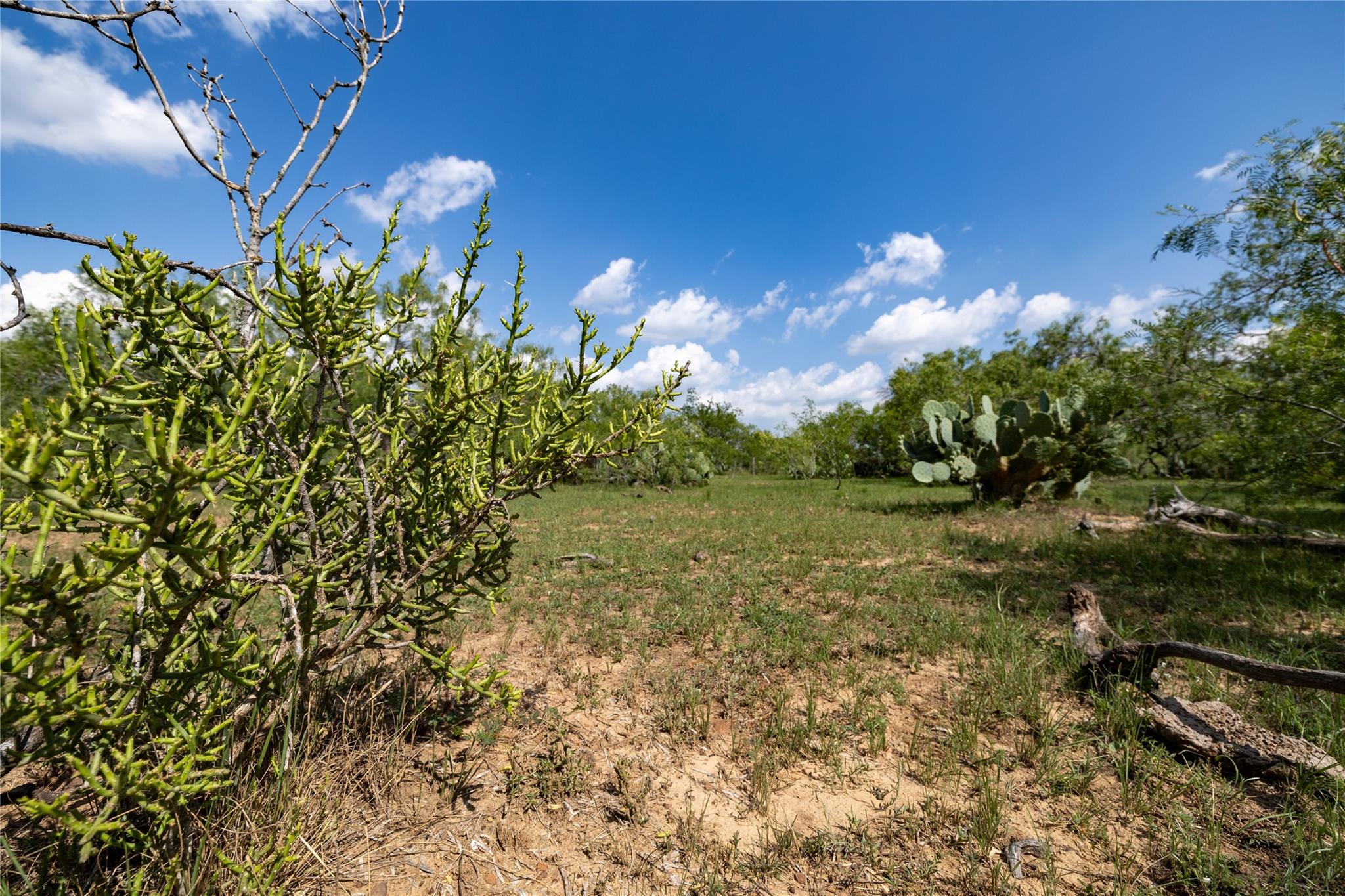 410 Green Acre Dr, Dale, TX 78616