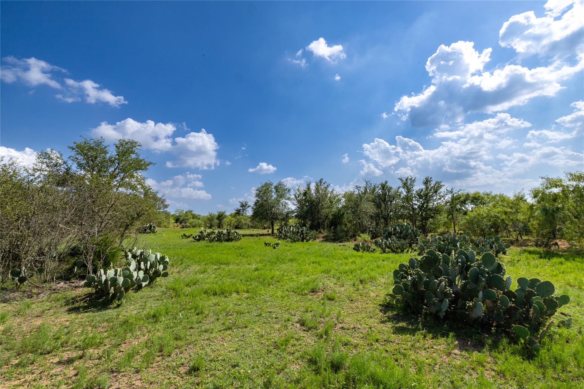 410 Green Acre Dr, Dale, TX 78616
