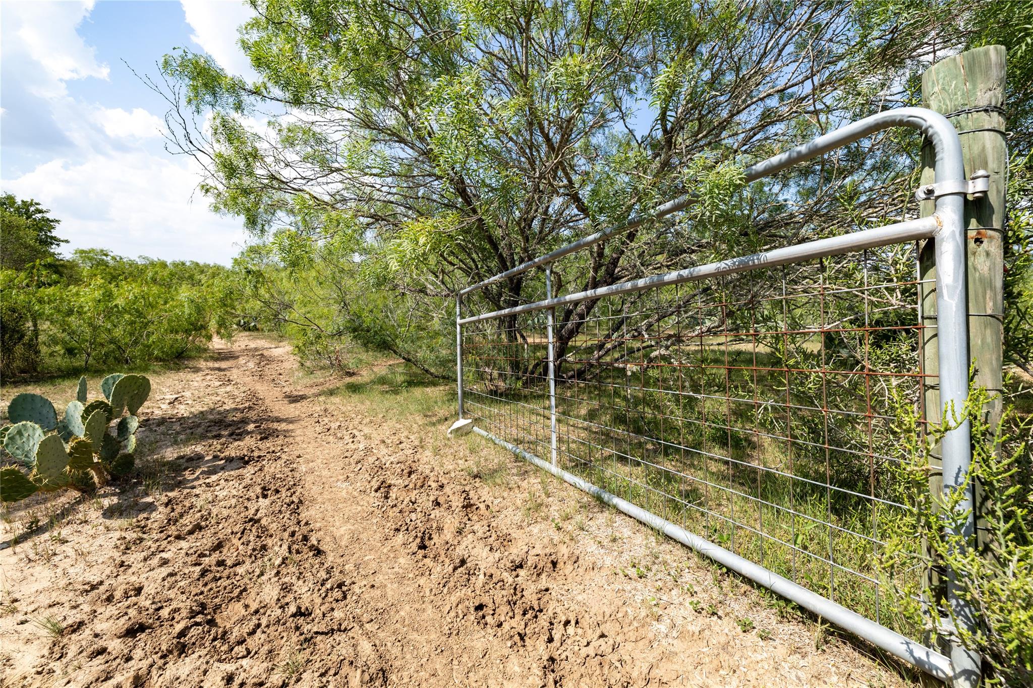 410 Green Acre Dr, Dale, TX 78616