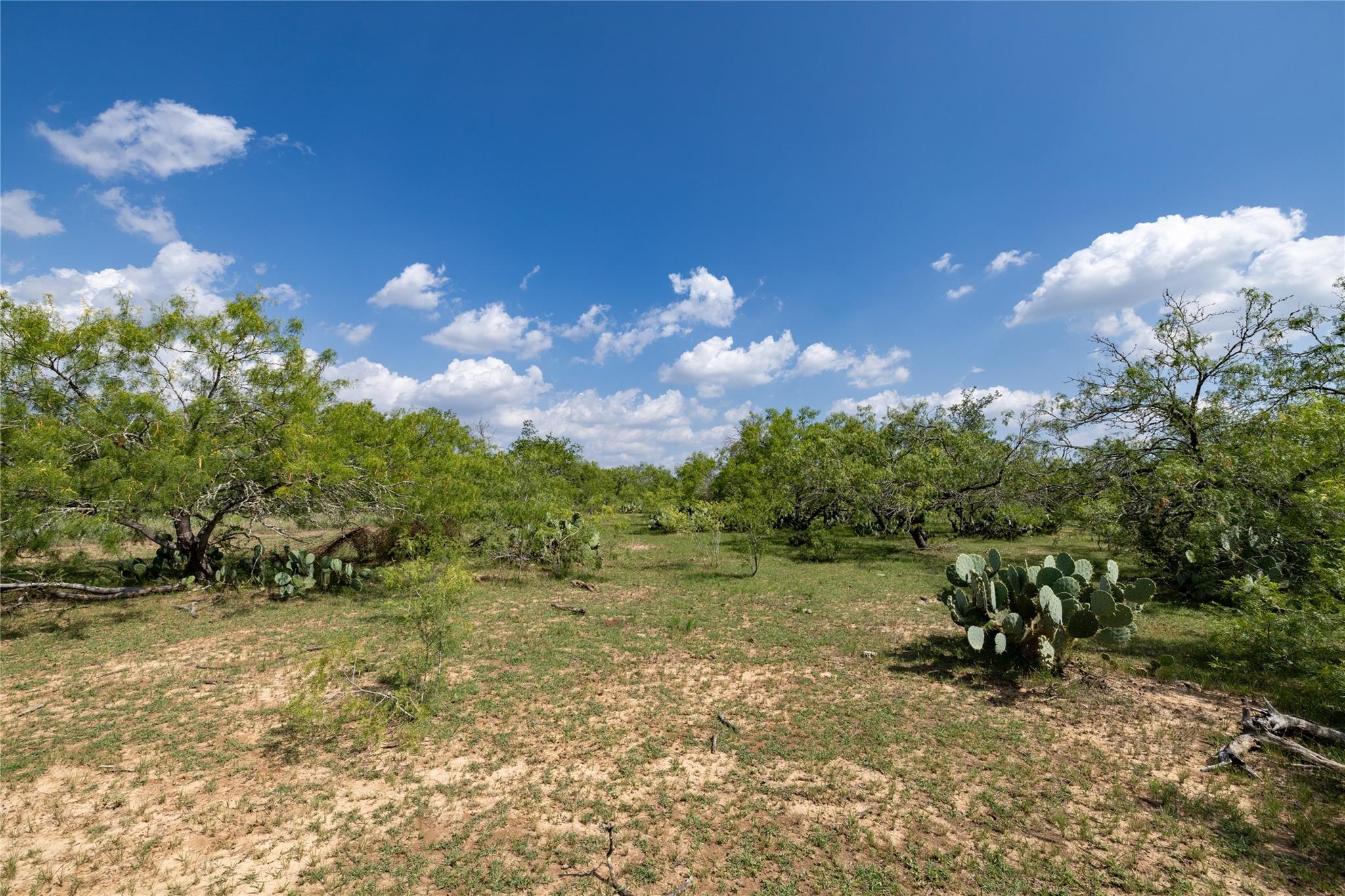 410 Green Acre Dr, Dale, TX 78616
