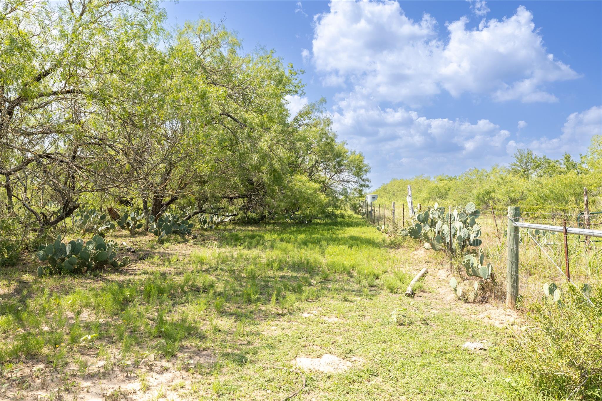 410 Green Acre Dr, Dale, TX 78616